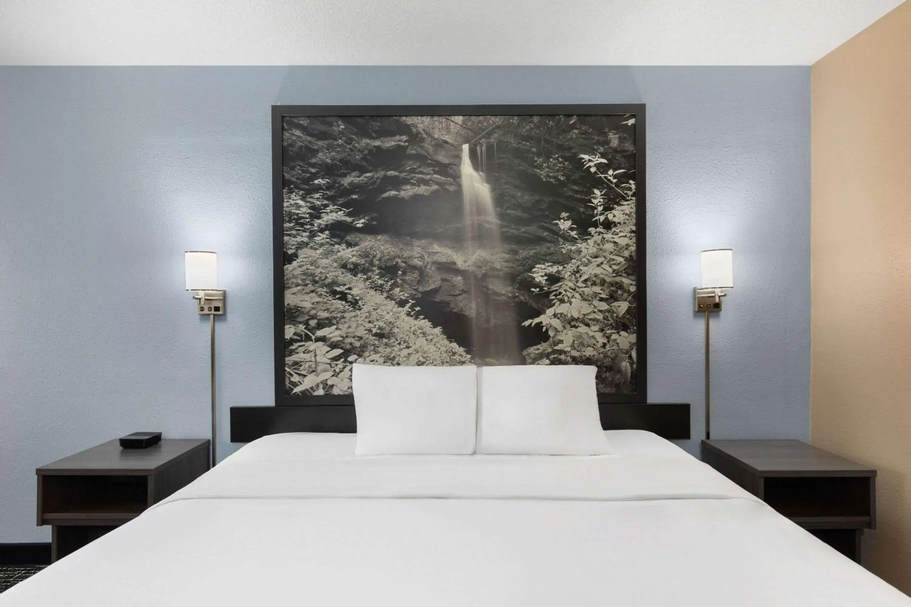 Photo of the whole room, Bed in Super 8 by Wyndham Paducah I-24 Exit 4 Photo of the whole room, Bed in Super 8 by Wyndham Paducah I-24 Exit 4