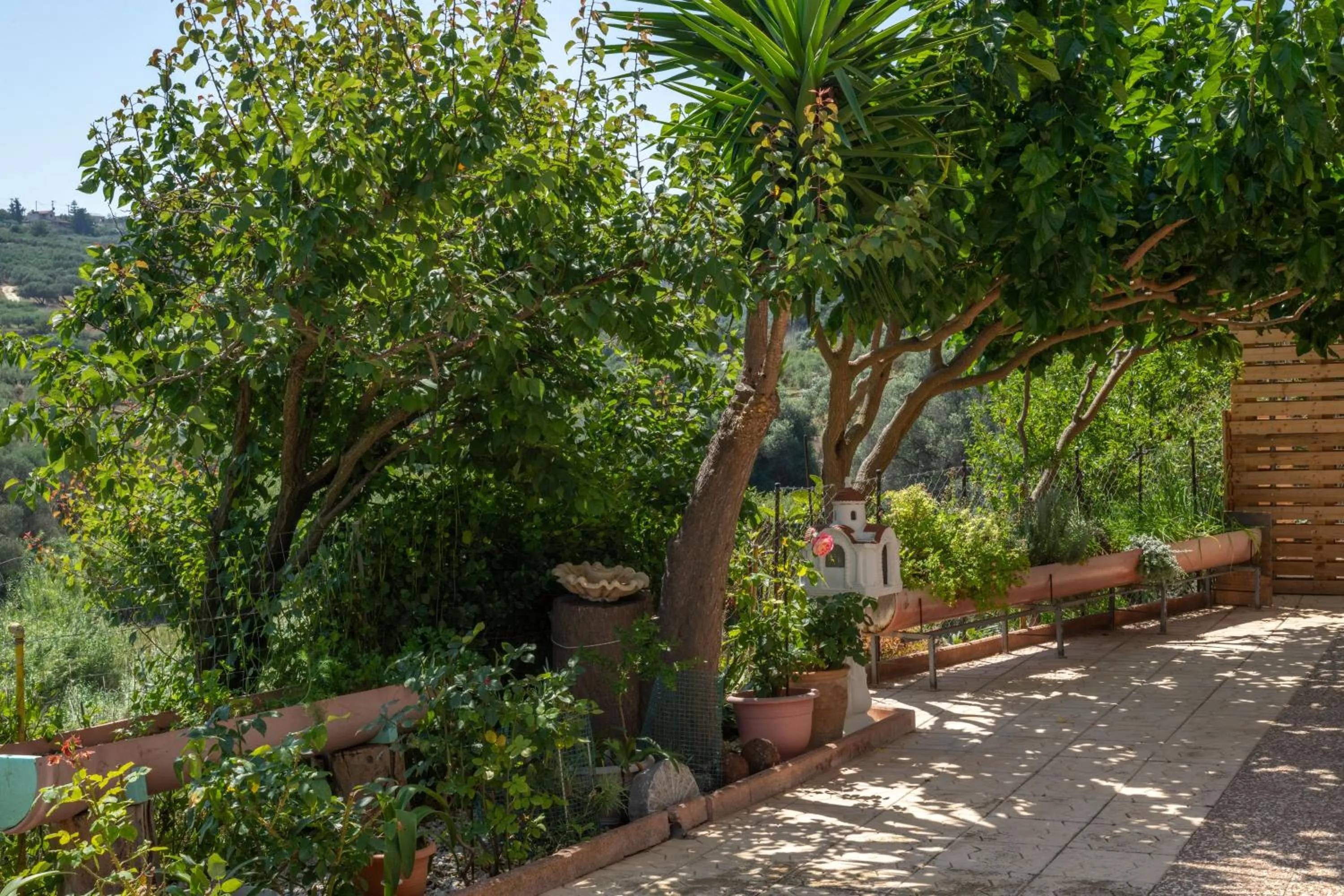 Garden in Aelia Home