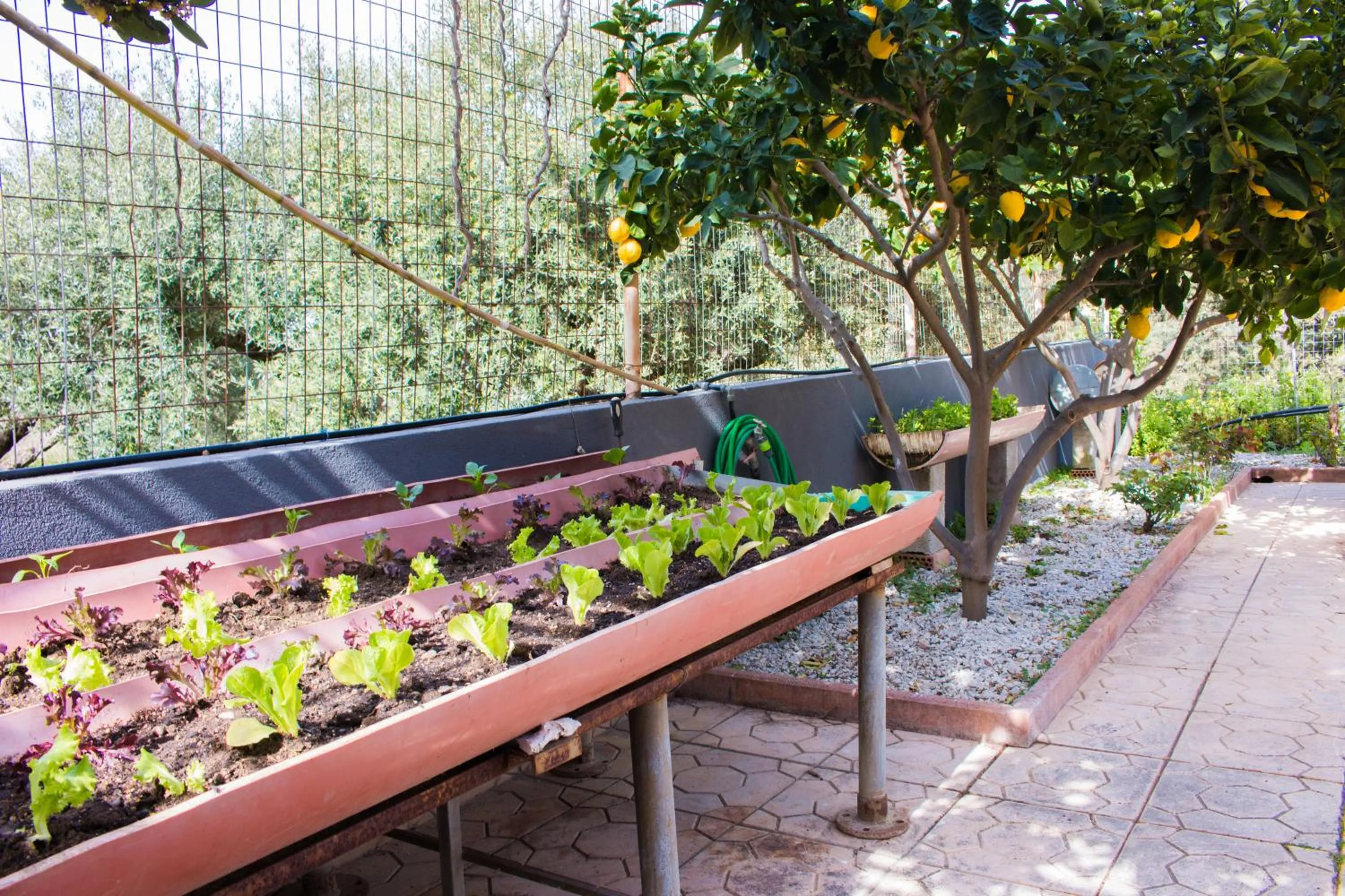 Garden in Aelia Home