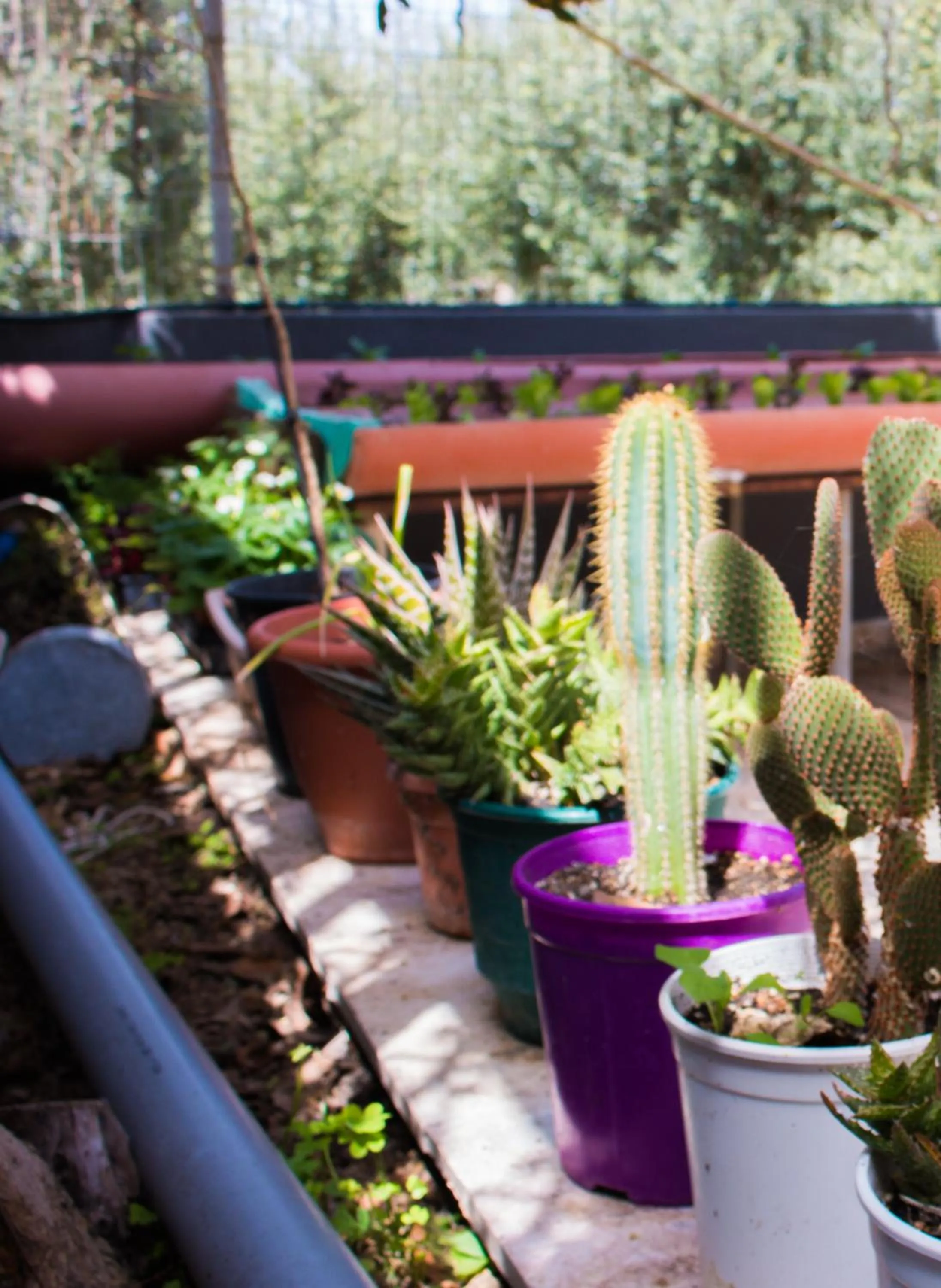 Decorative detail in Aelia Home