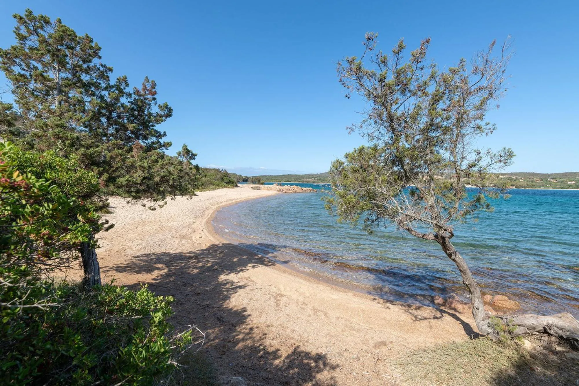 Beach in Palau Green Village