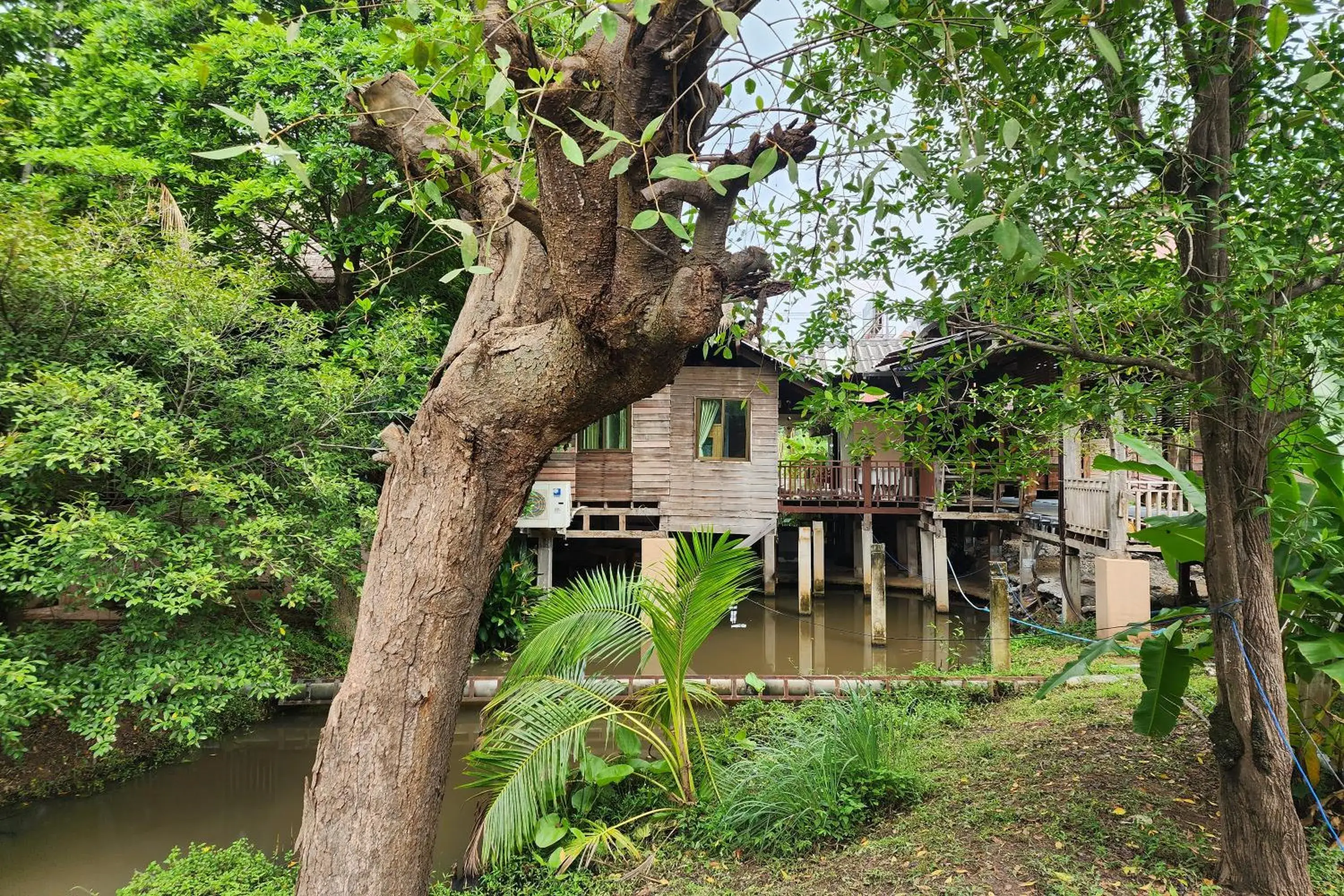 Garden view in Karaboon Wellness Garden view in Karaboon Wellness