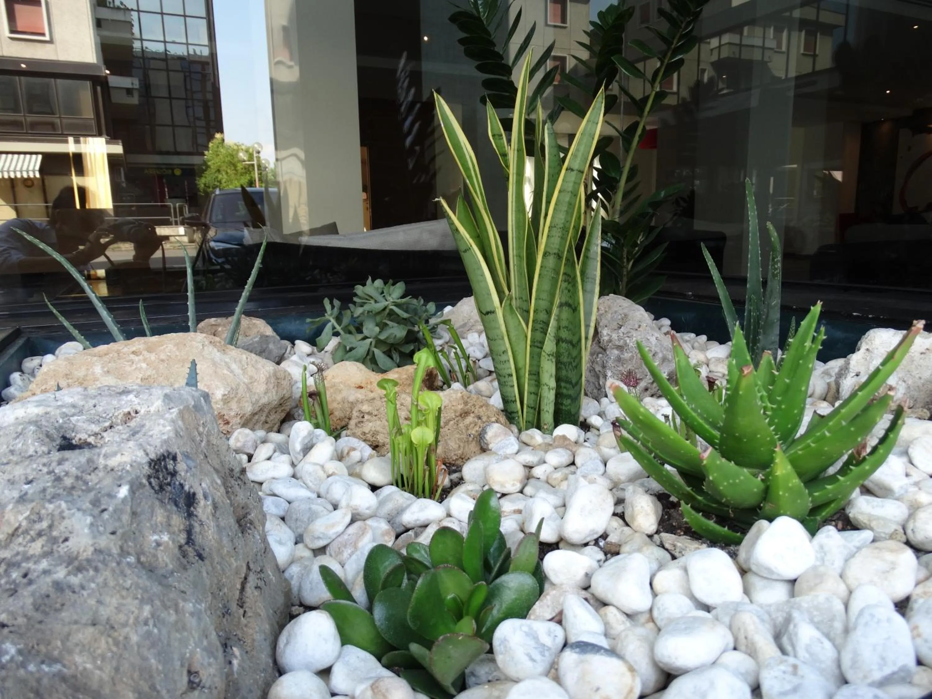 Facade/entrance in Toscana Ambassador