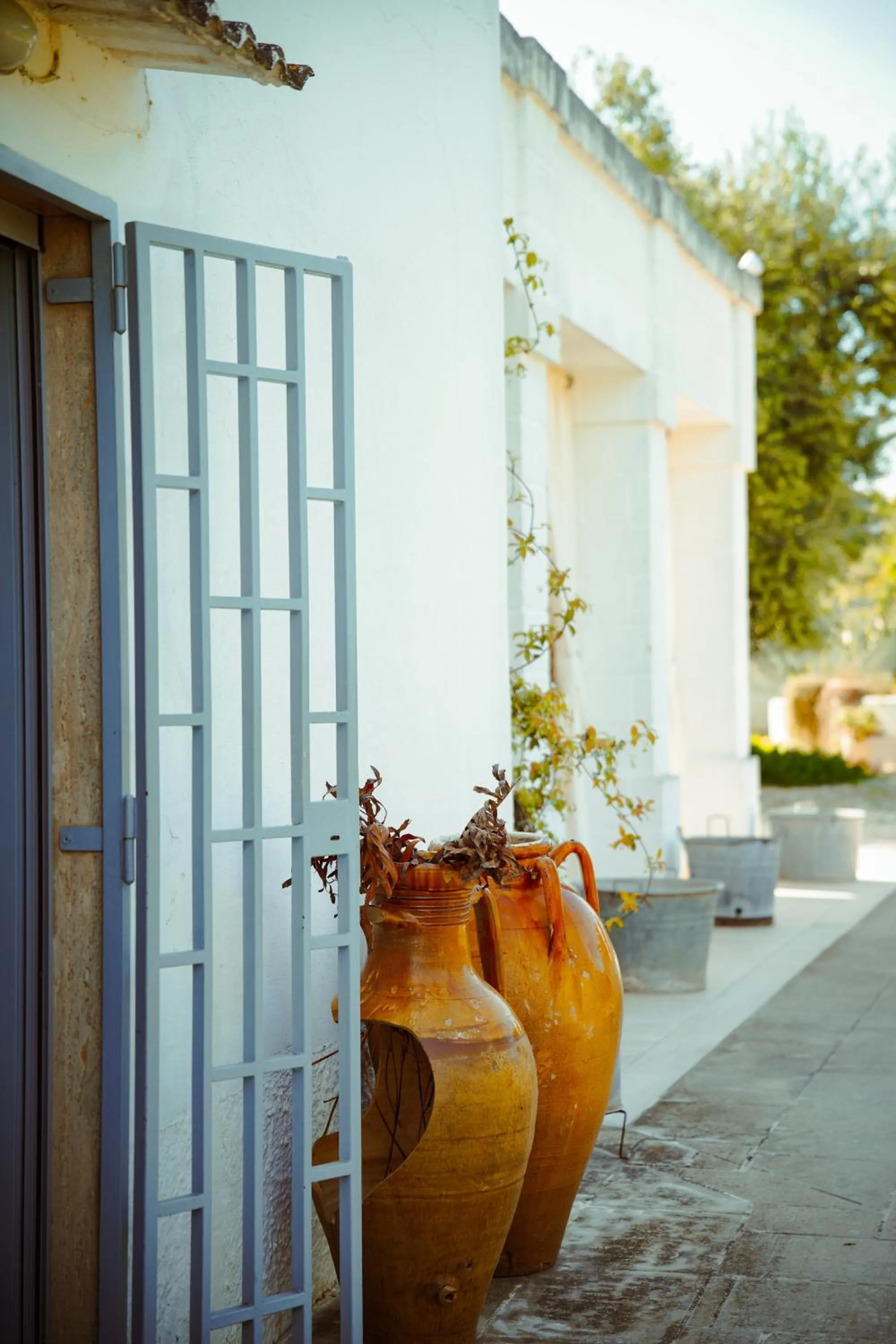 Property building in Cortebbianca
