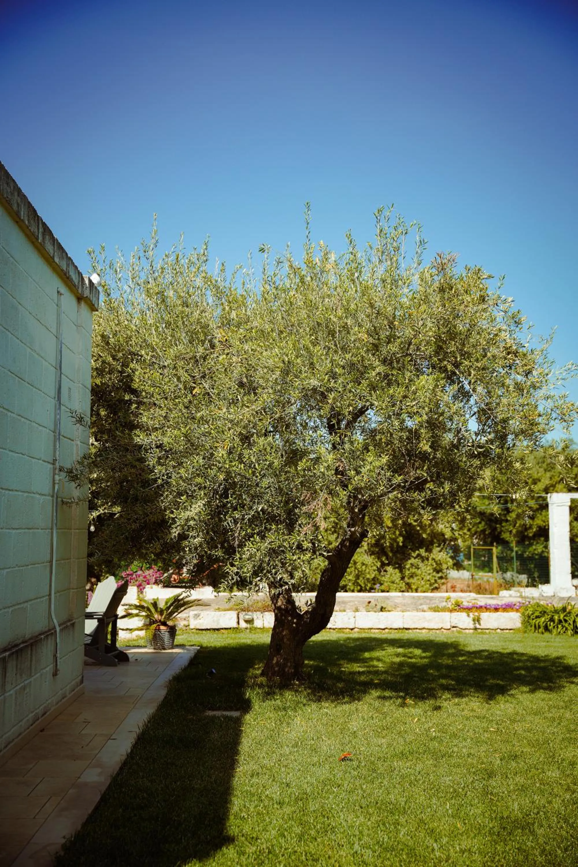 Garden in Cortebbianca