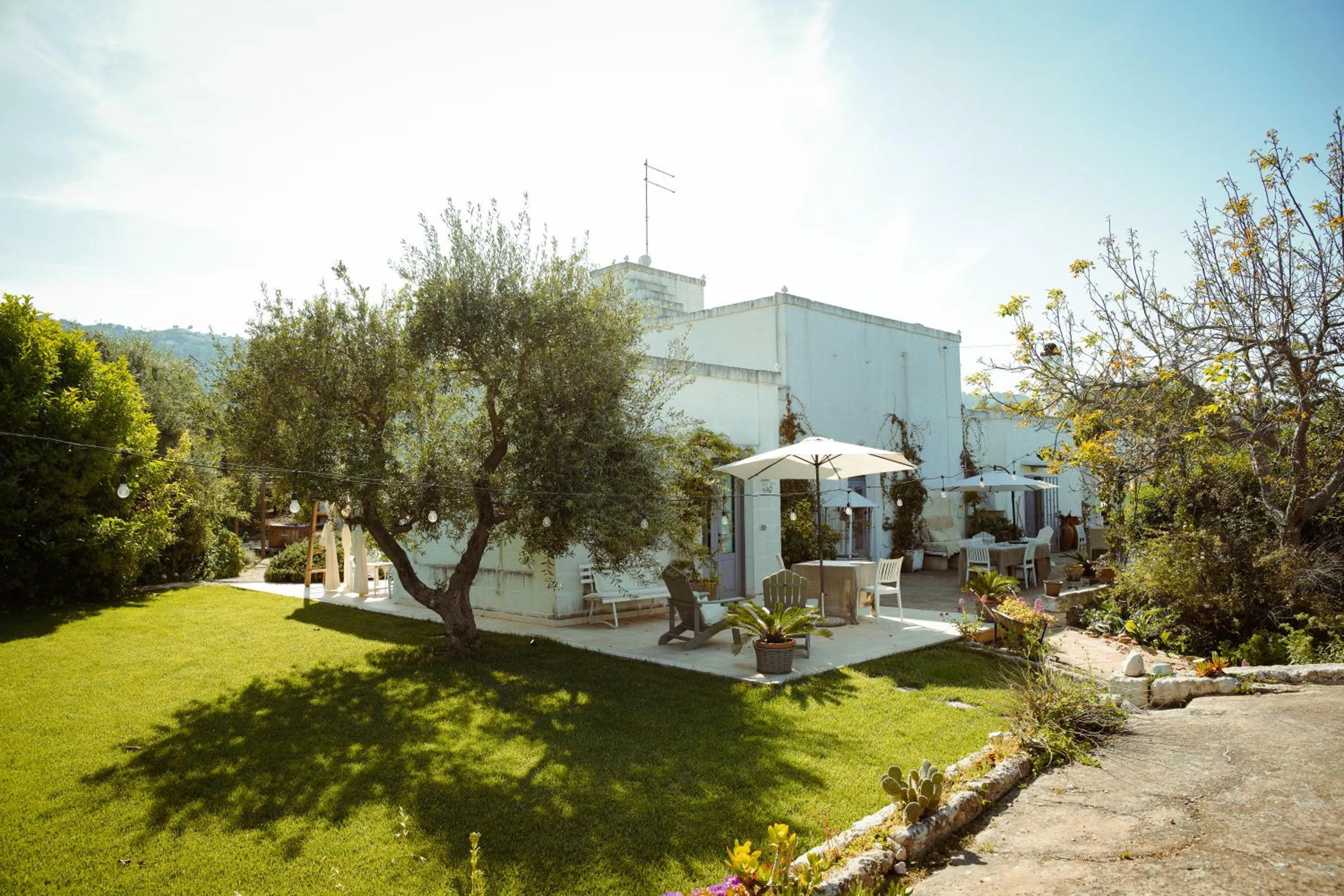 Property building in Cortebbianca