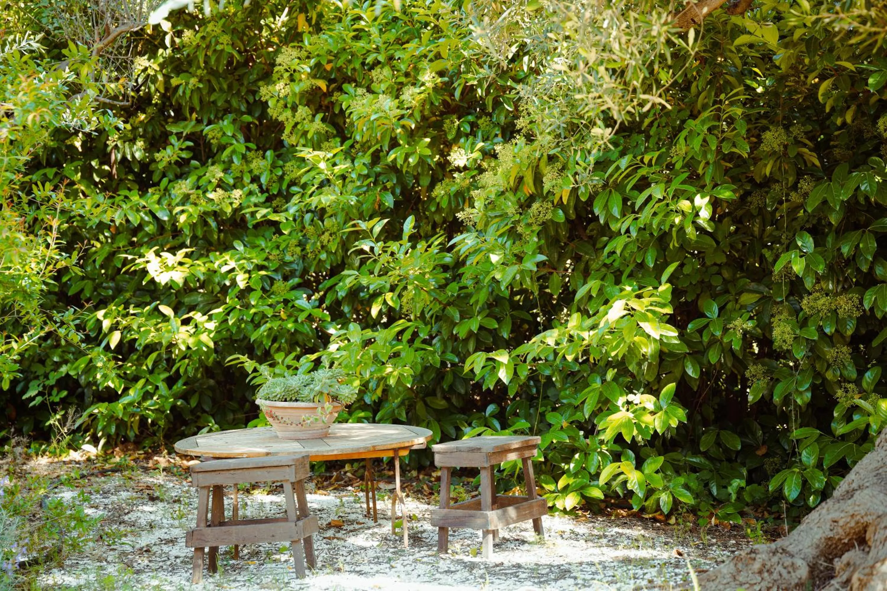 Garden in Cortebbianca