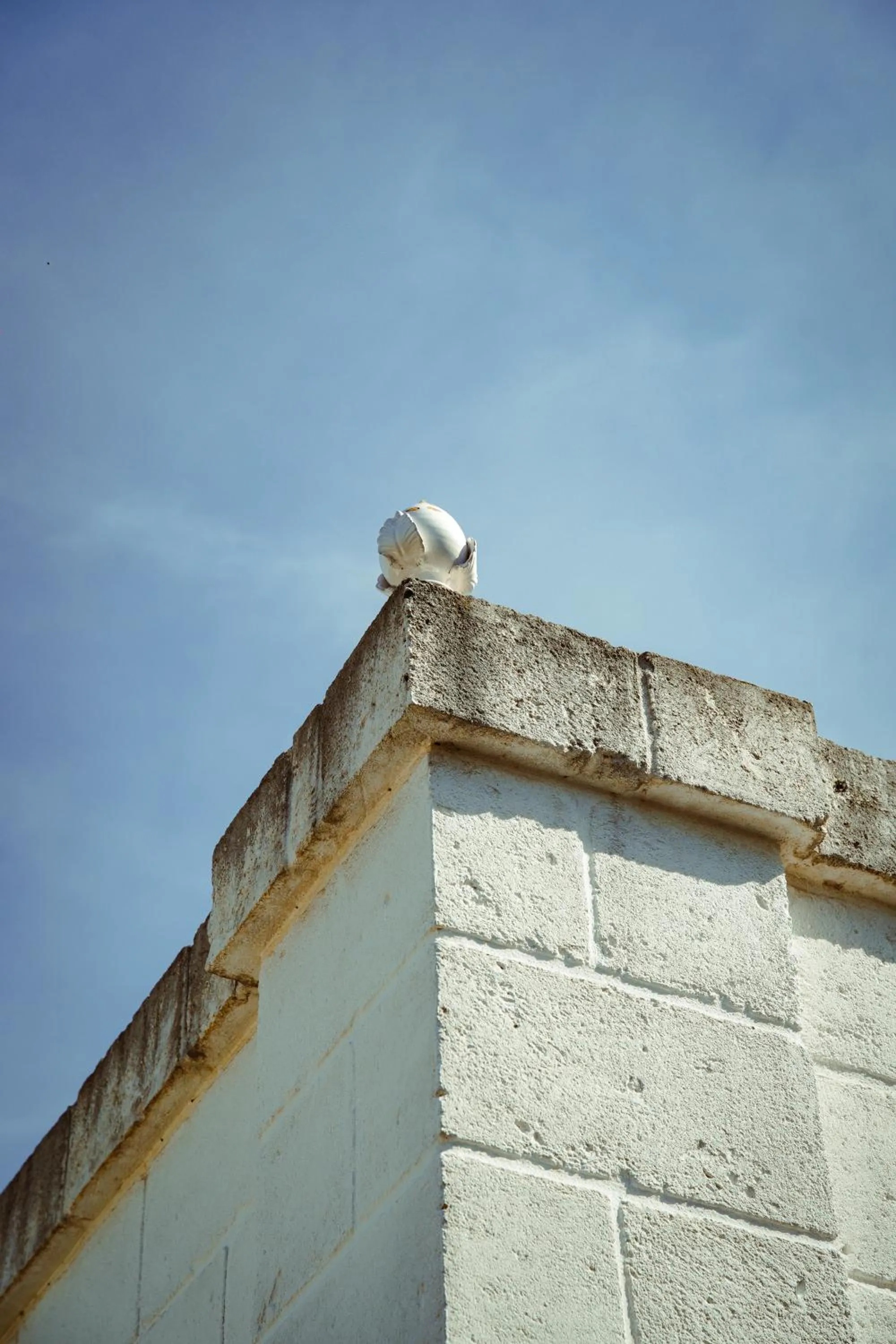 Property building in Cortebbianca