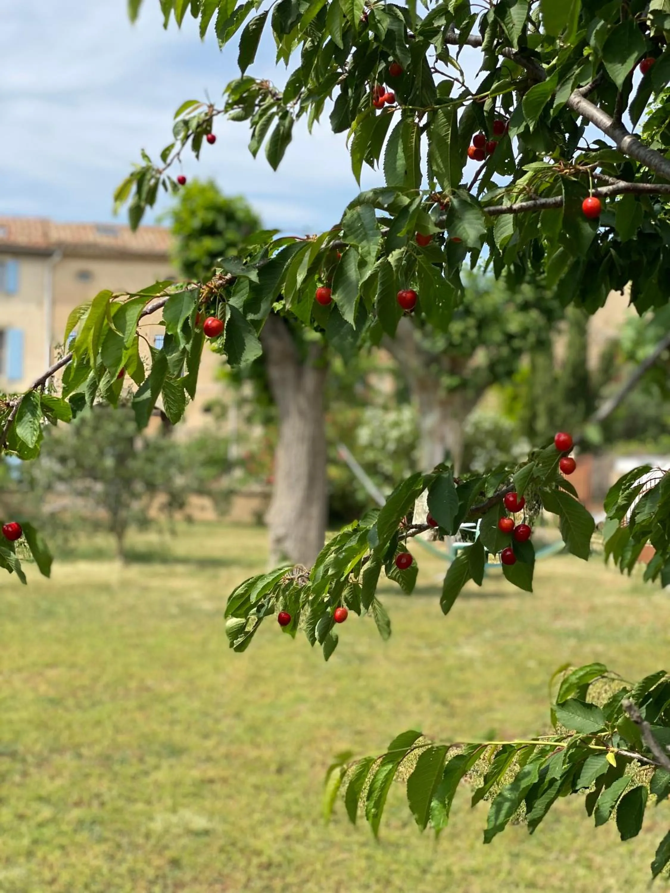 Garden in Le Relais d'Affiac