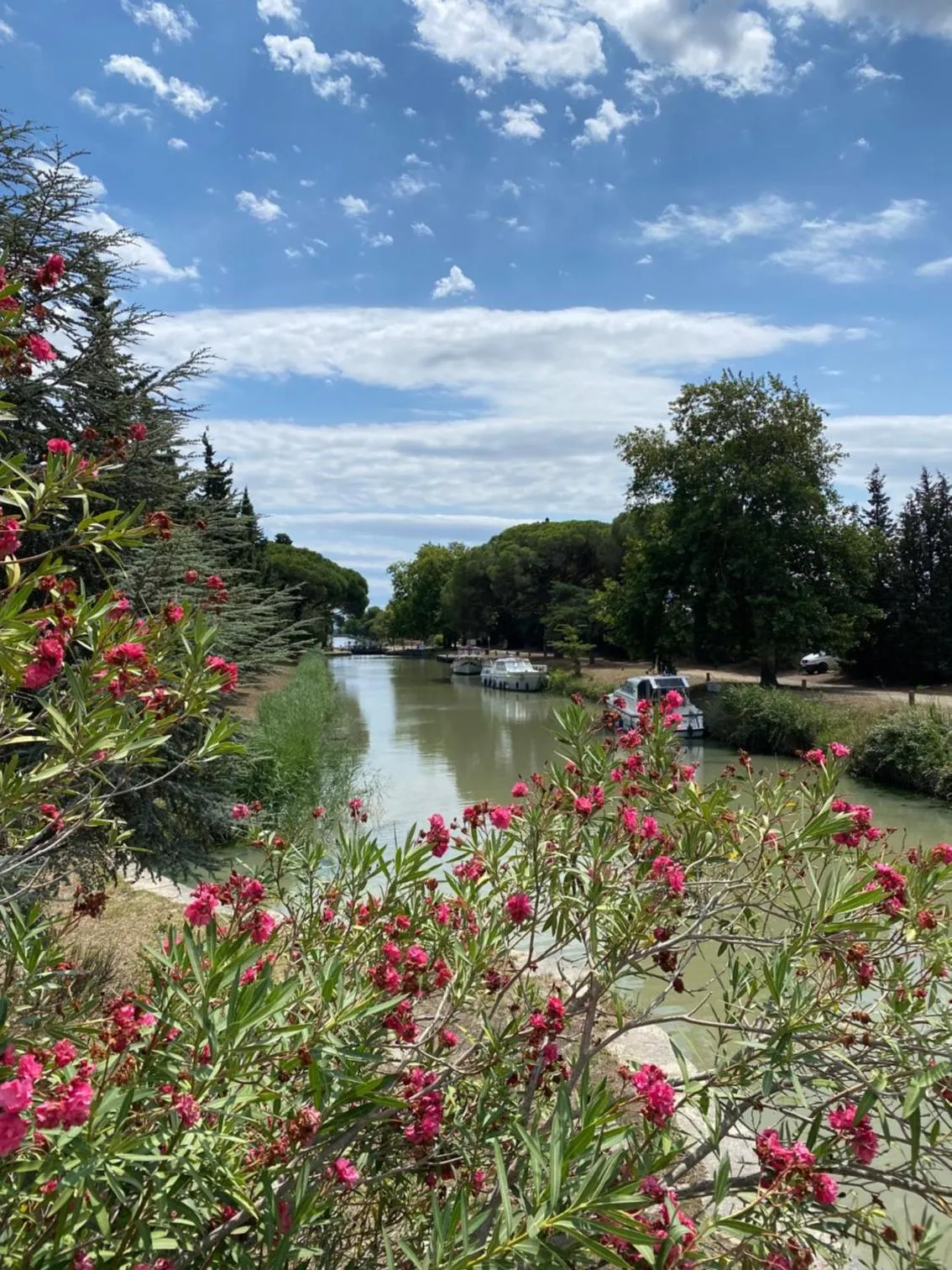 Nearby landmark in Le Relais d'Affiac