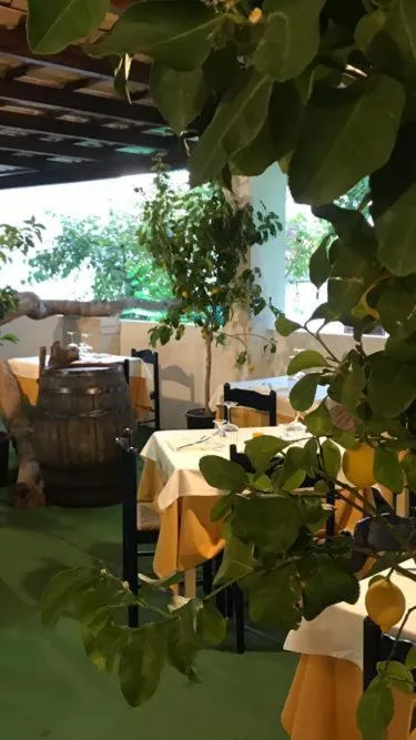 Restaurant/places to eat in Cinquestelle Albergo del centro storico