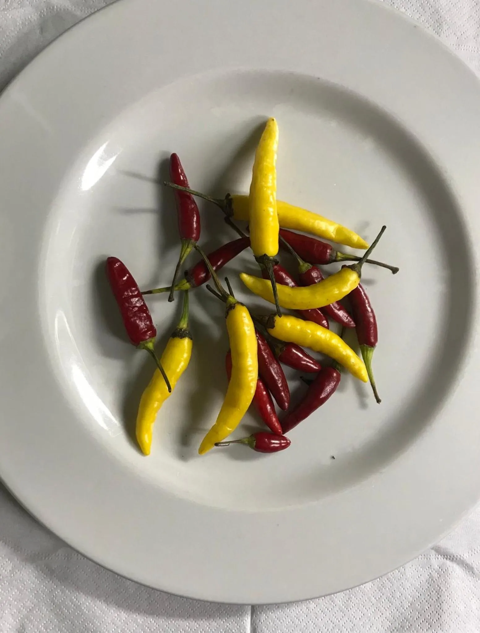 Cinquestelle Albergo del centro storico