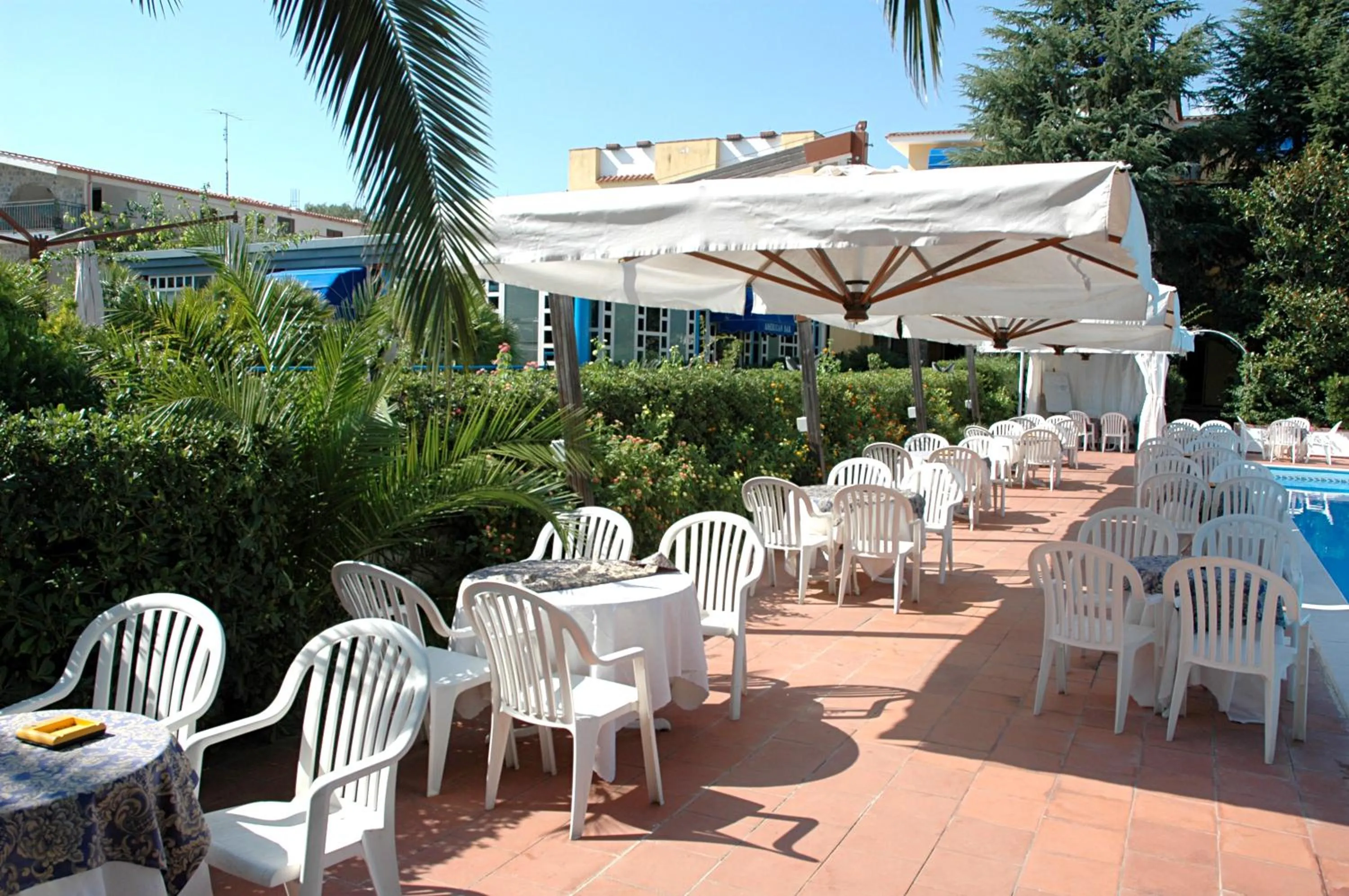 Animals in Hotel Seven Residence