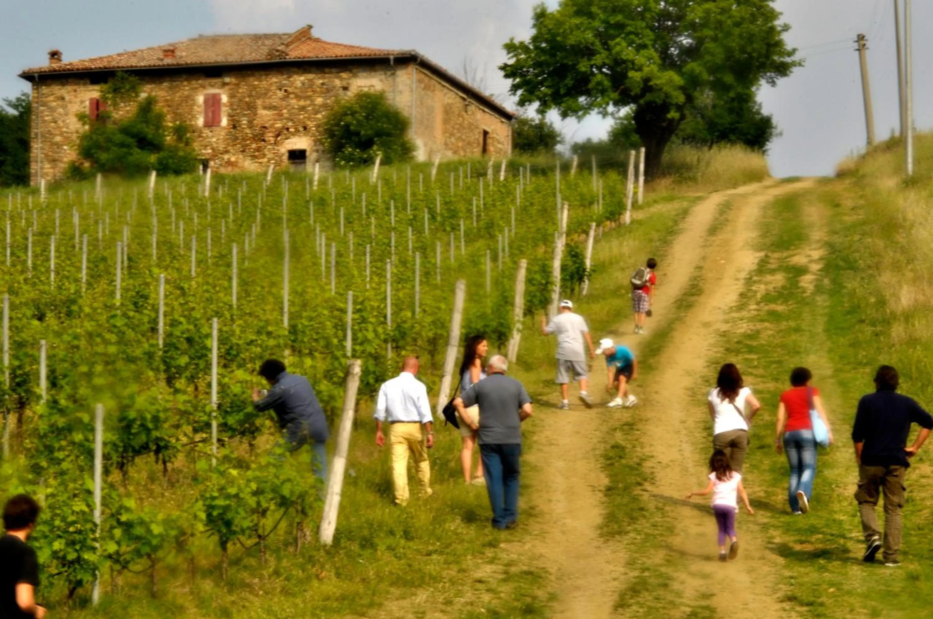Area and facilities in Hotels Campus