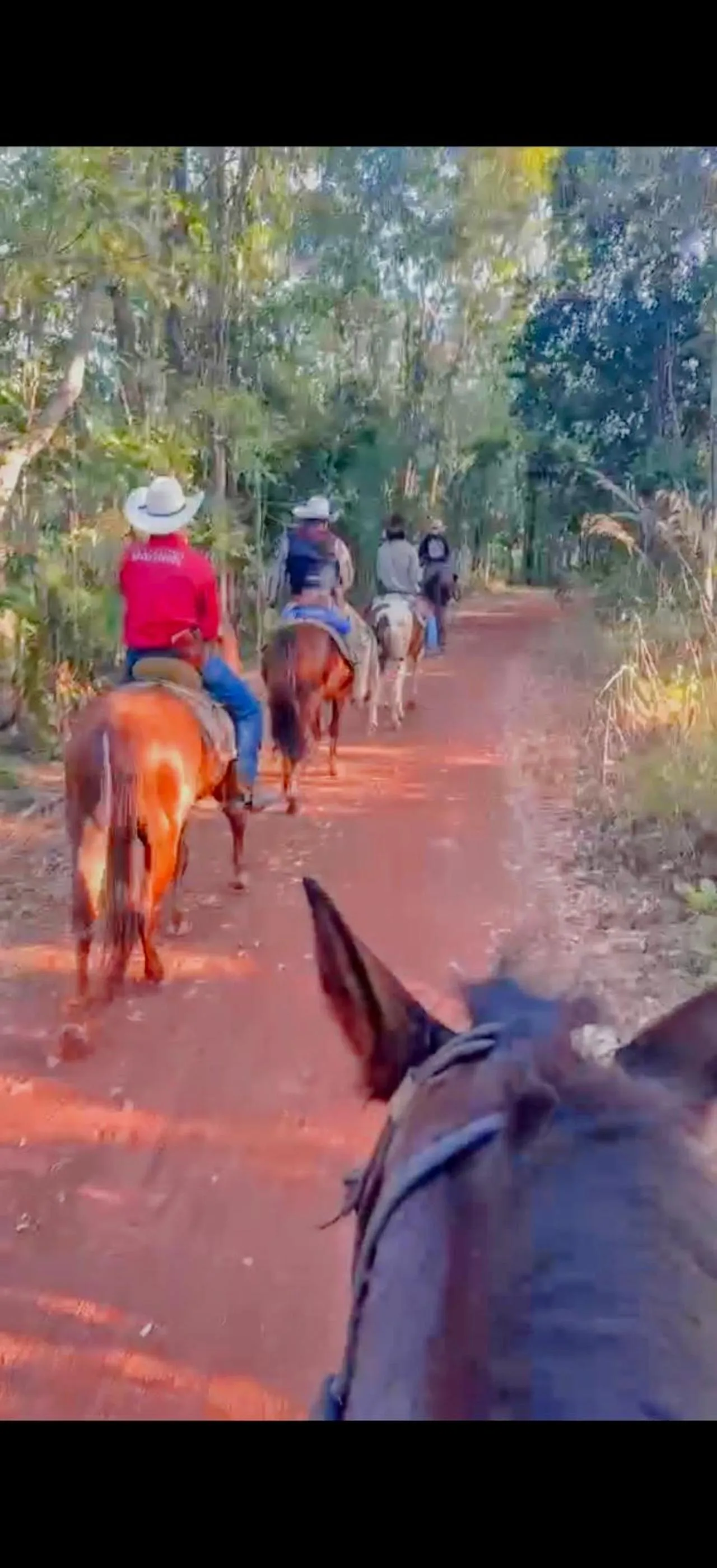 Horse-riding in Isan Golf & Adventure Hotel