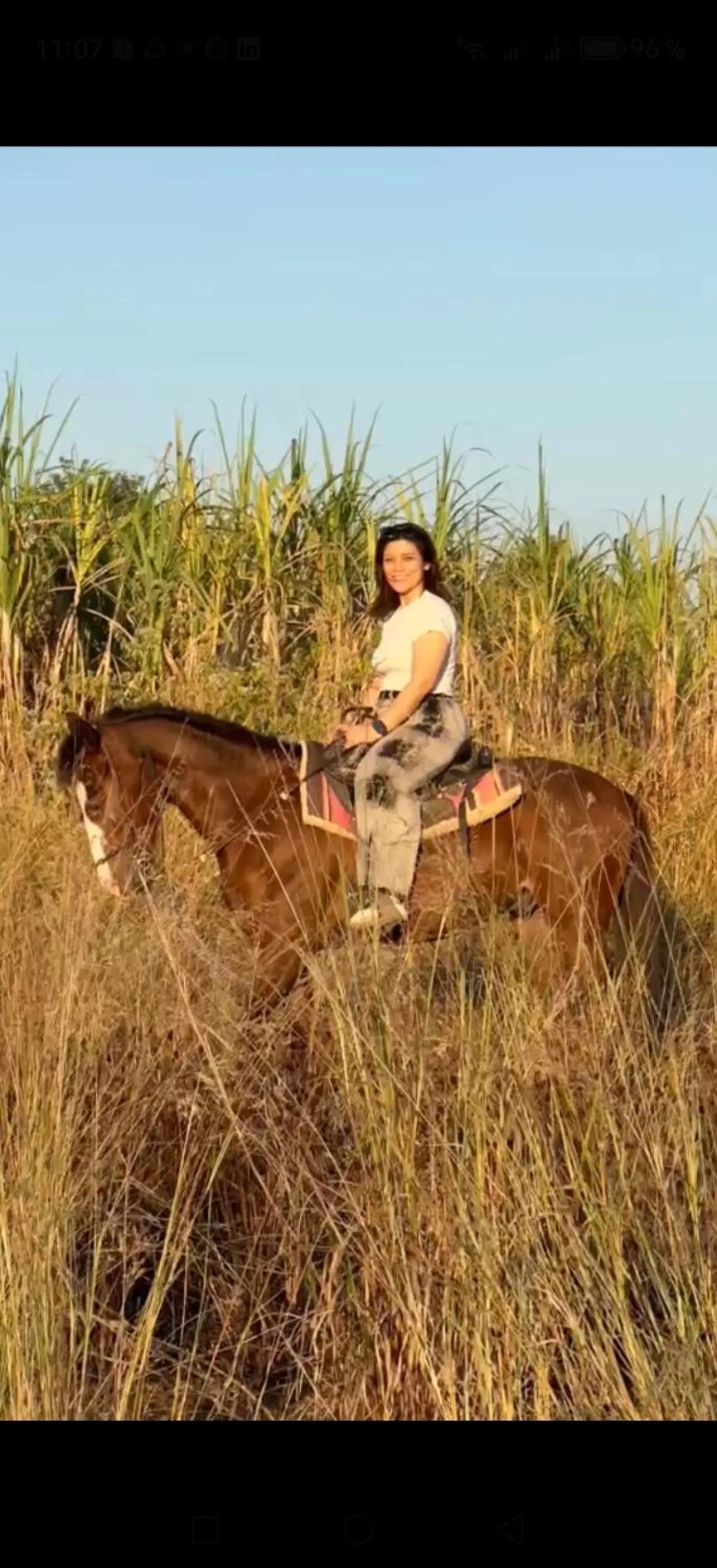 Horse-riding in Isan Golf & Adventure Hotel