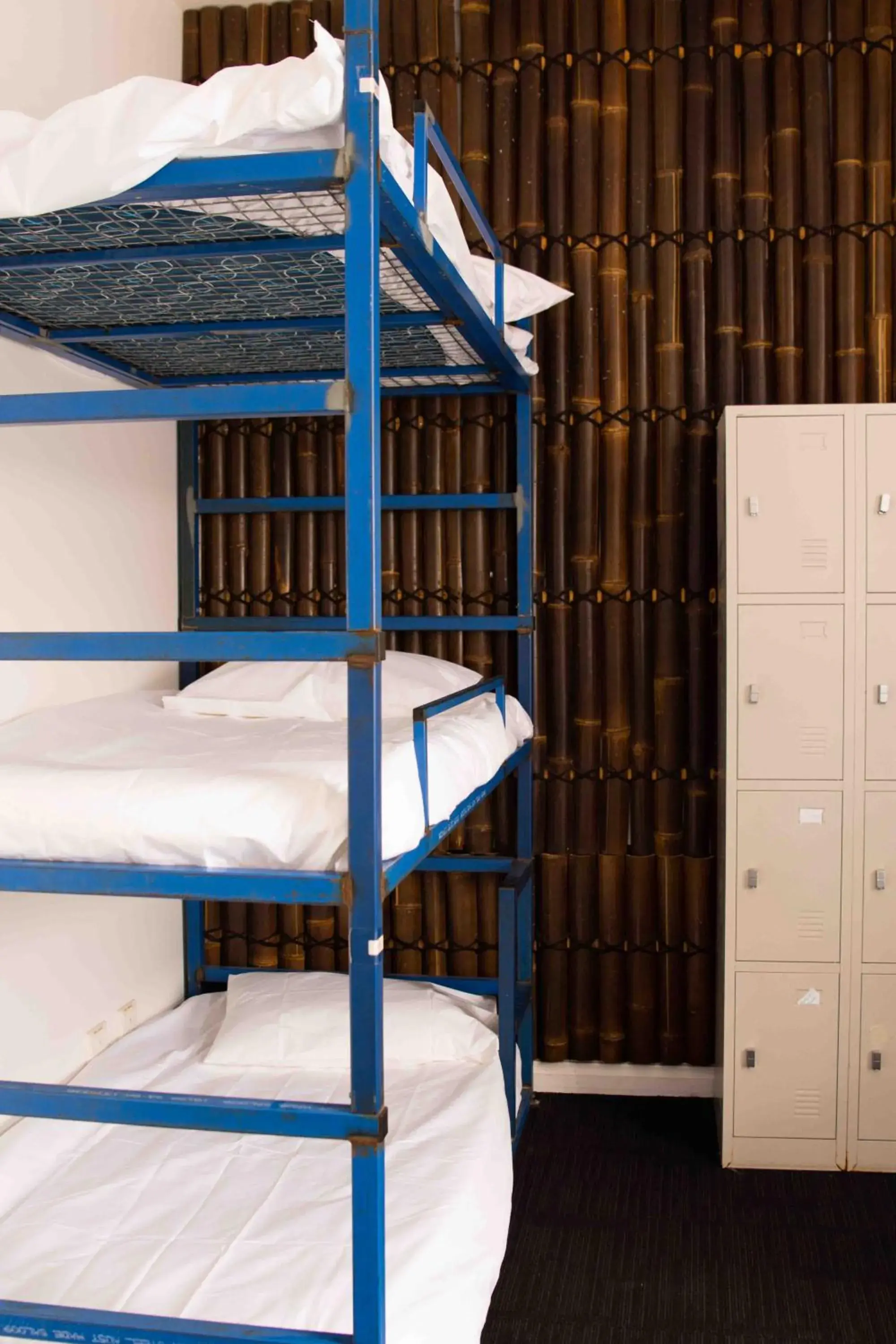 Bed in 6-Bed Female Dormitory Room in Bayside House Bed in 6-Bed Female Dormitory Room in Bayside House