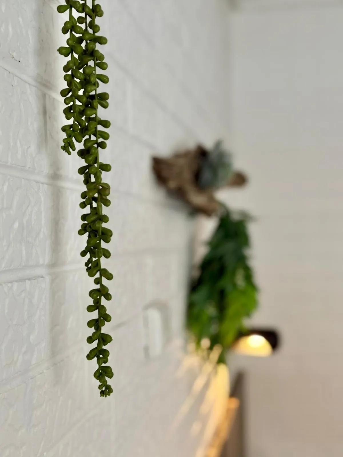 Angaston Vineyards Motel