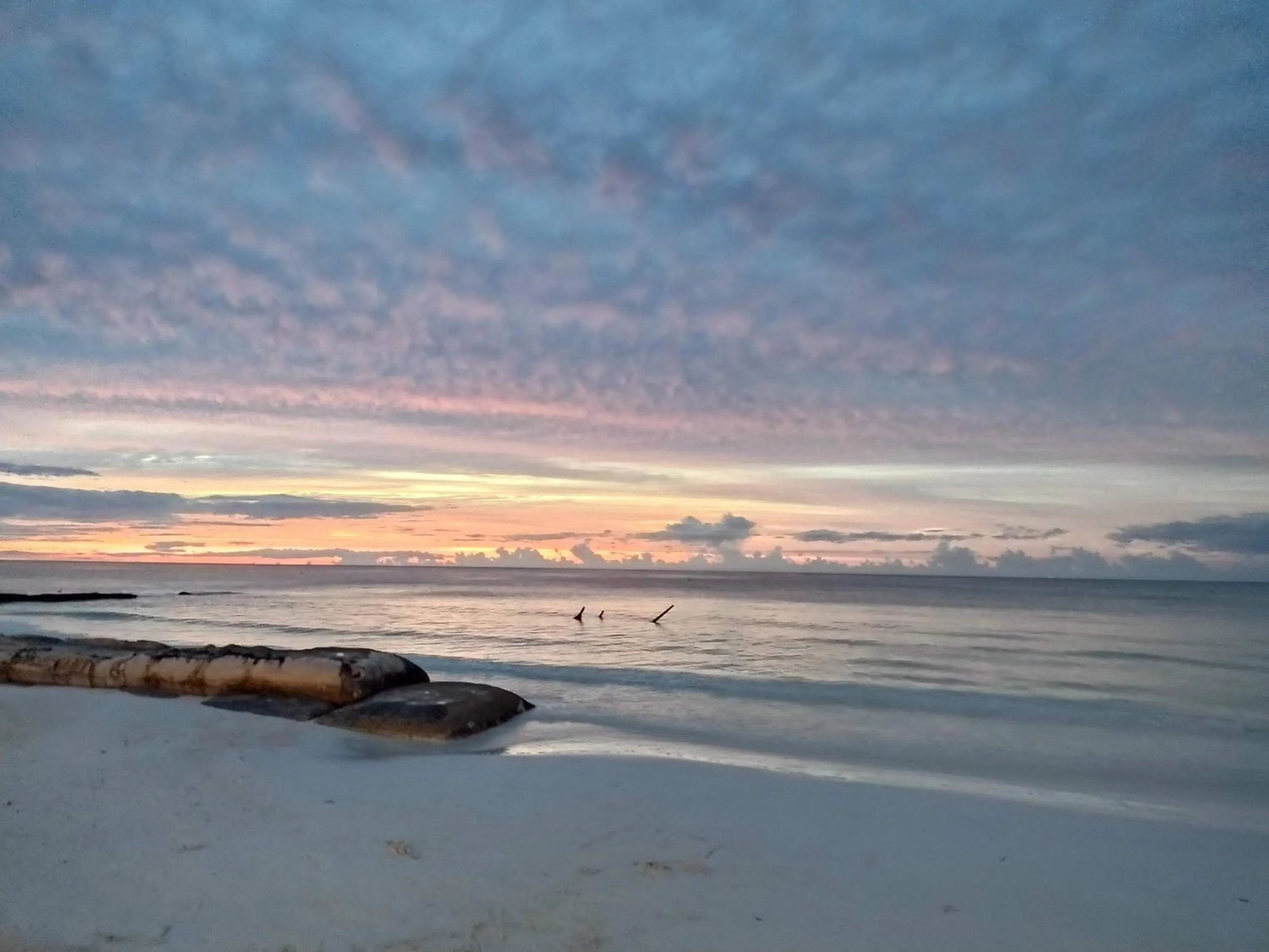 Beach in Brisa Del Mar