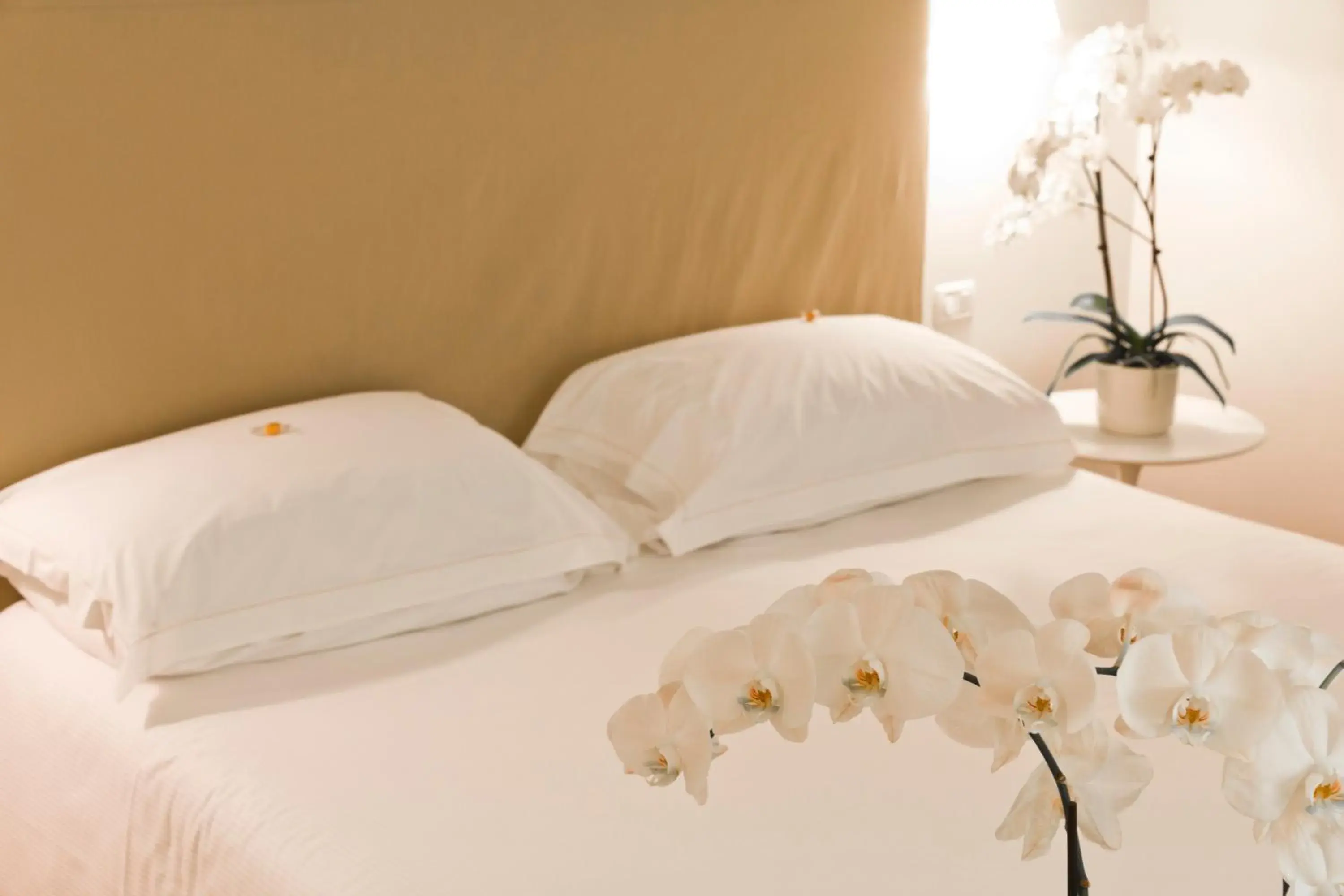 bunk bed, Bed in Residence Hilda bunk bed, Bed in Residence Hilda