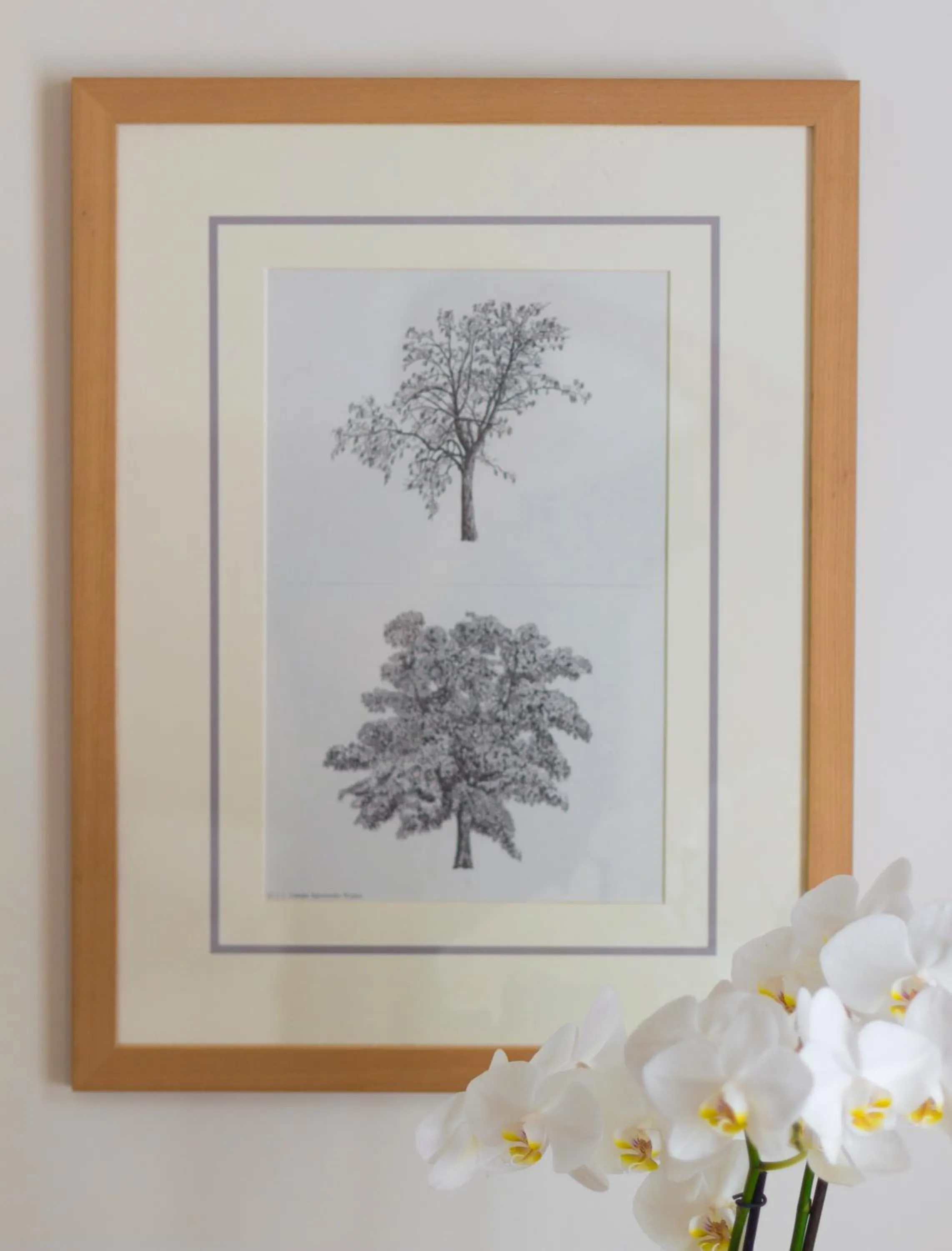 Decorative detail in Residence Hilda