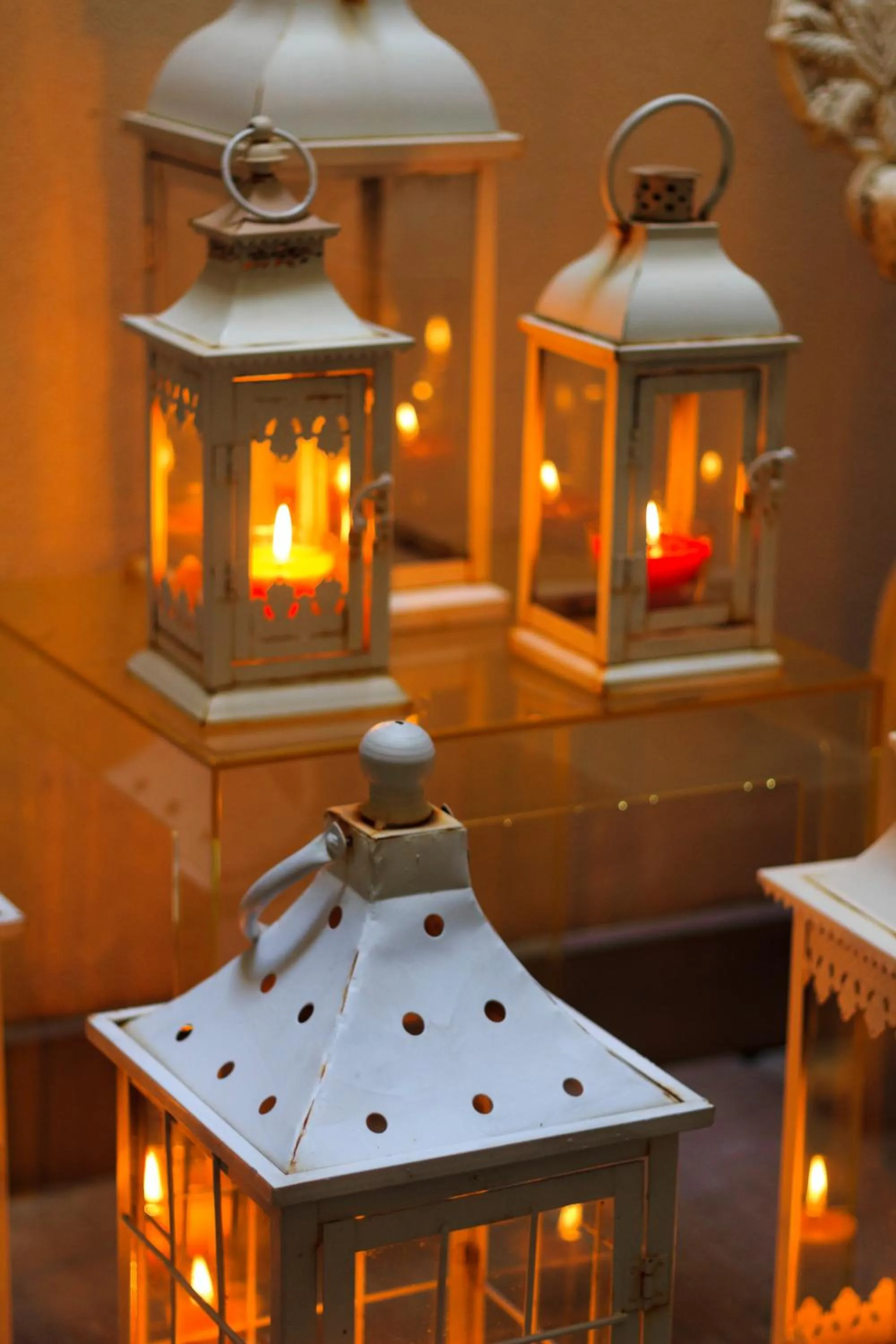 Garden in Residence Hilda