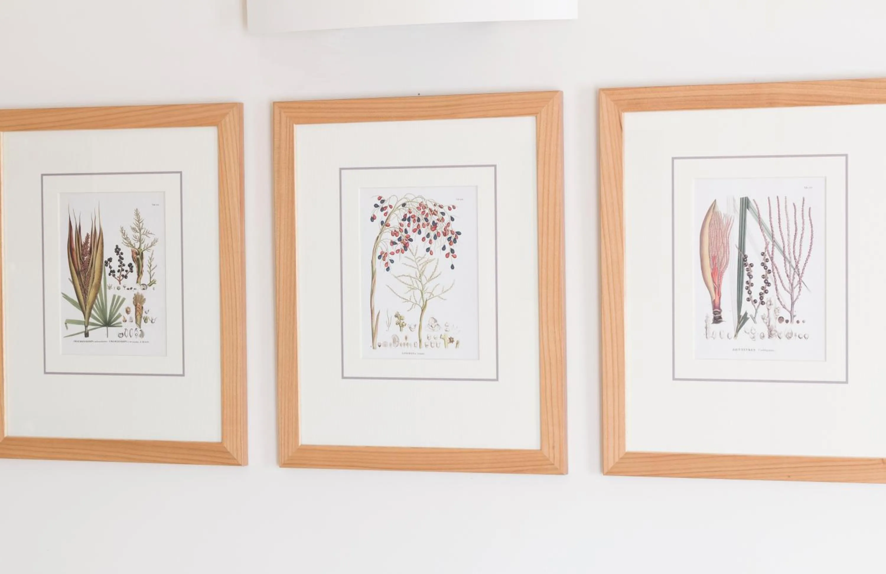 Decorative detail in Residence Hilda