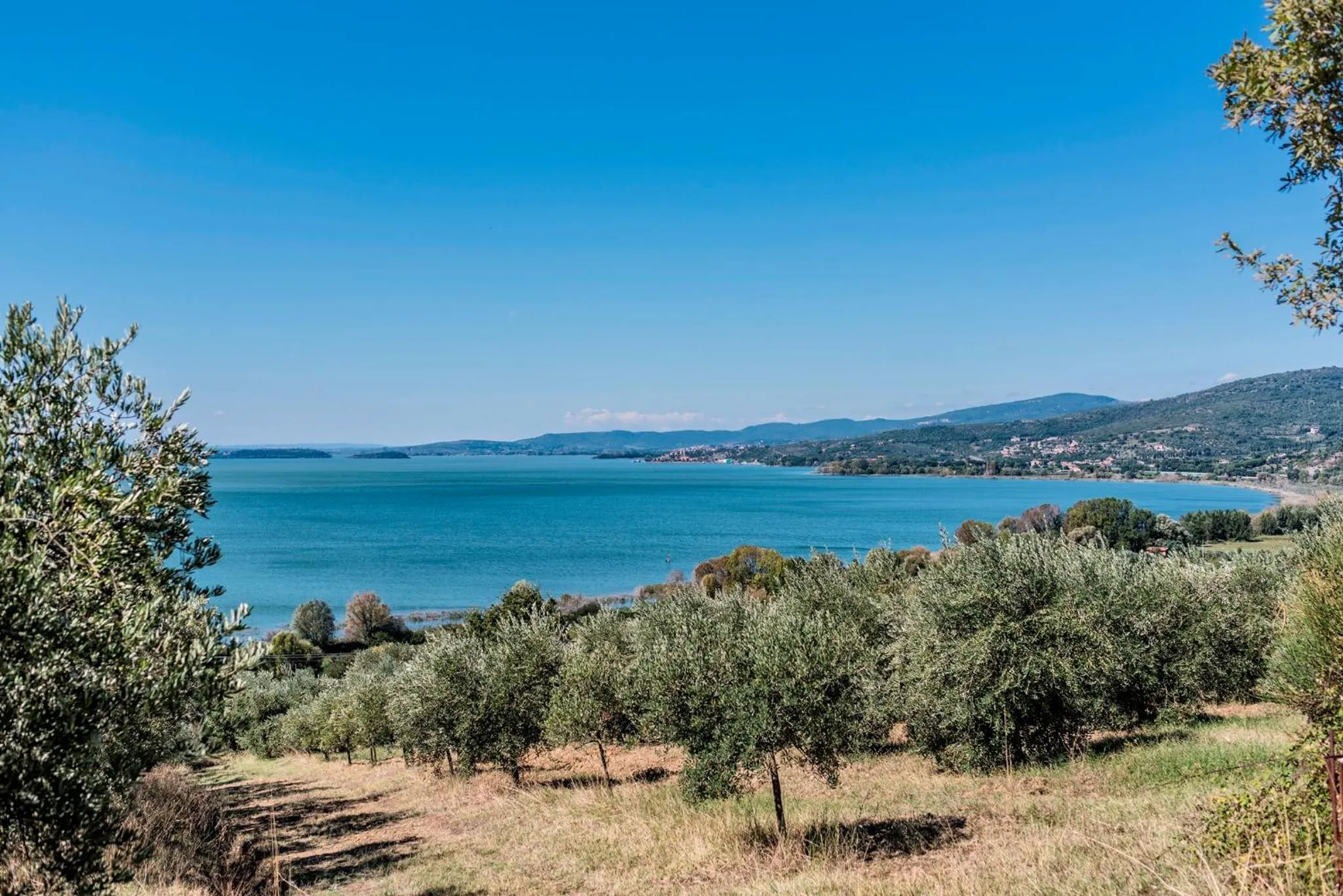 Neighbourhood in Hotel Ristorante Il Gabbiano