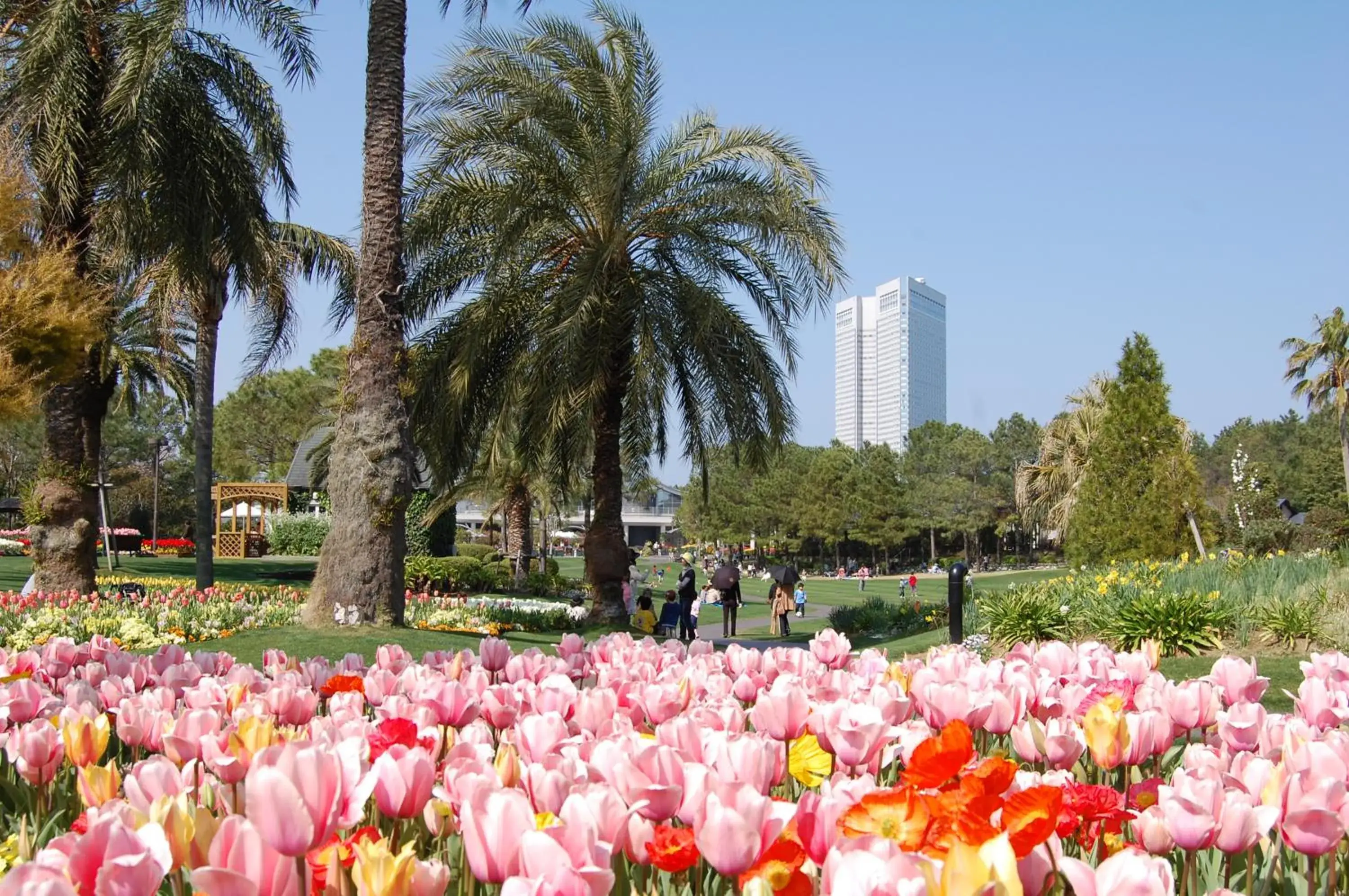 Nearby landmark in Seagaia Forest Cottages Nearby landmark in Seagaia Forest Cottages