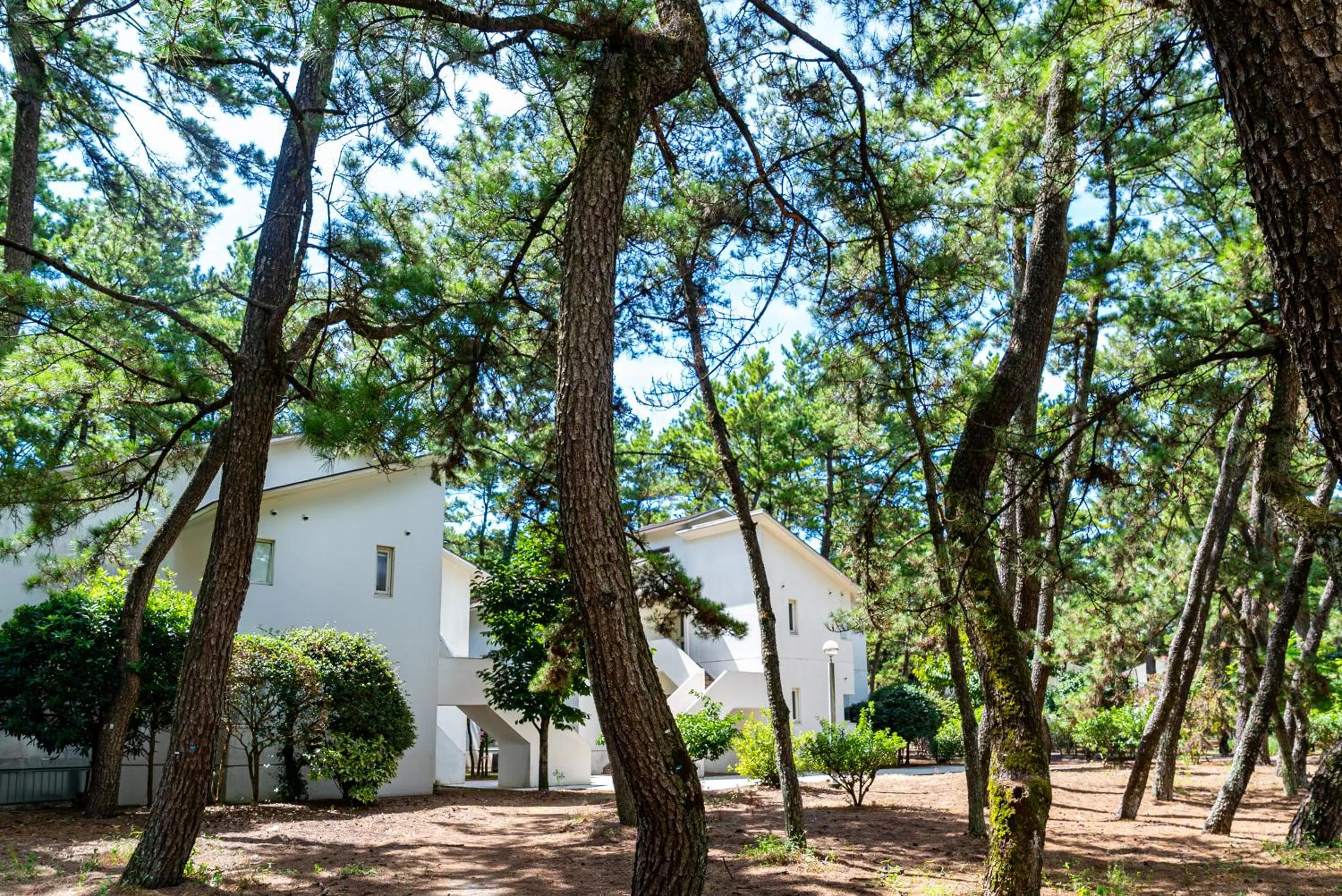 Seagaia Forest Cottages