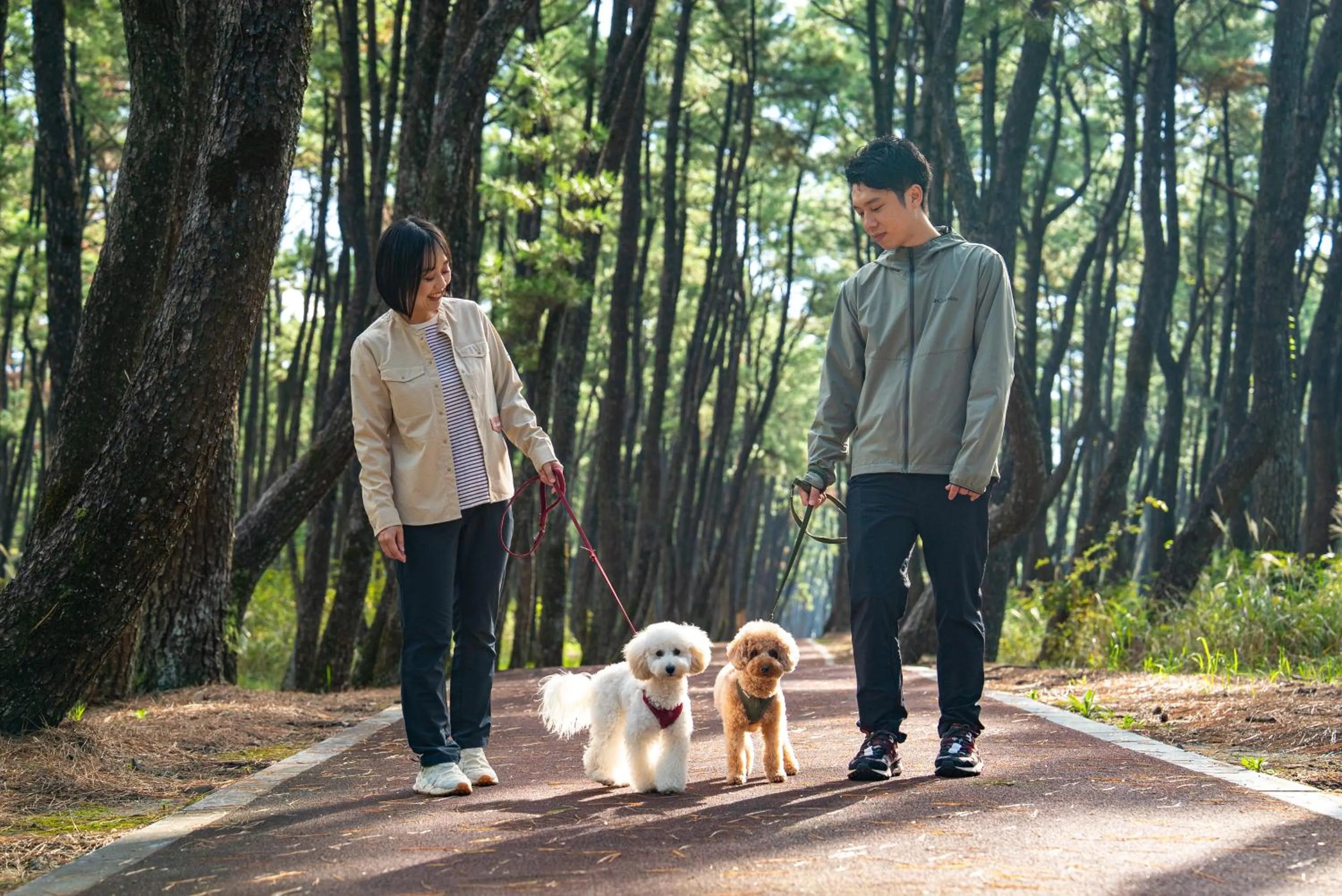 Seagaia Forest Cottages