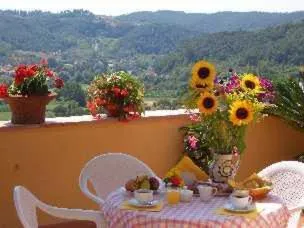Patio in Villa La Malva