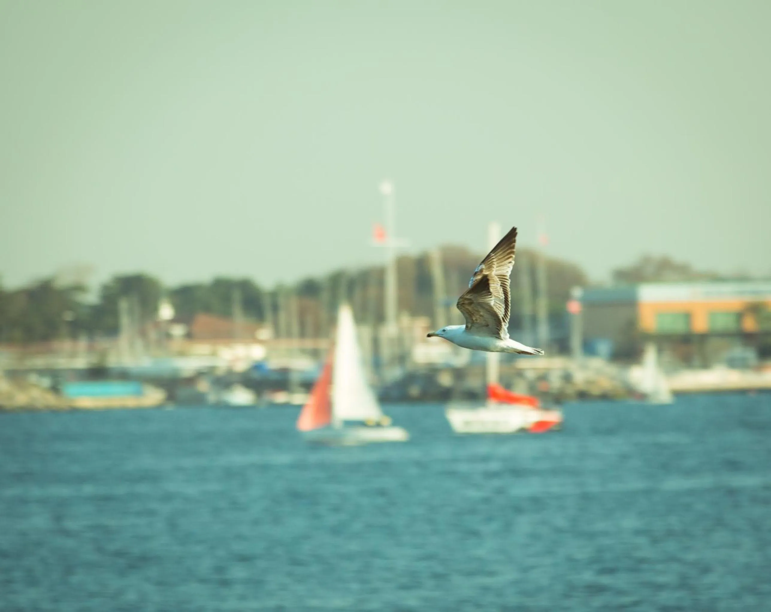 View (from property/room) in Melek Hotels Moda