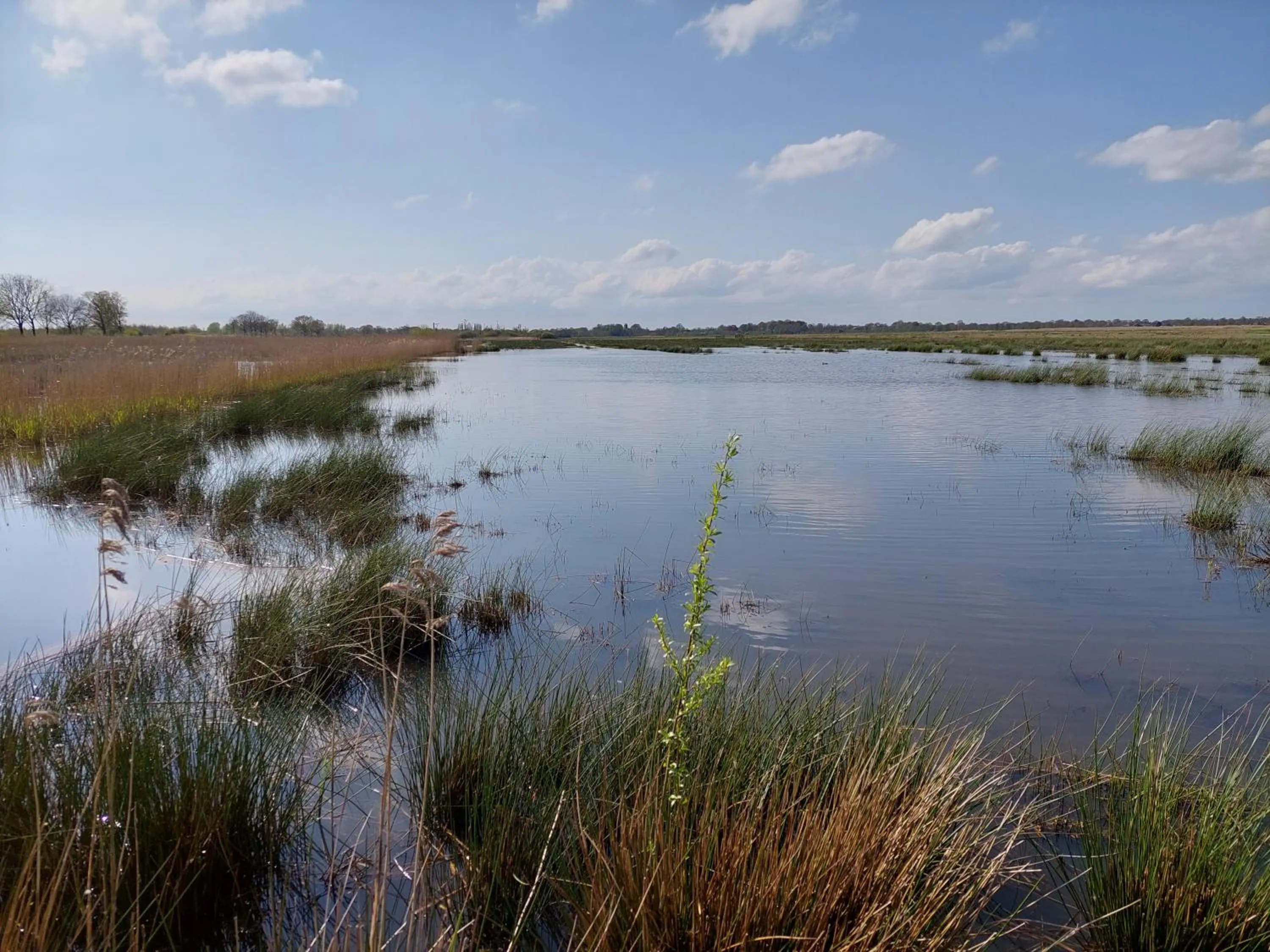 Natural landscape in Tusken Wad en Wâld