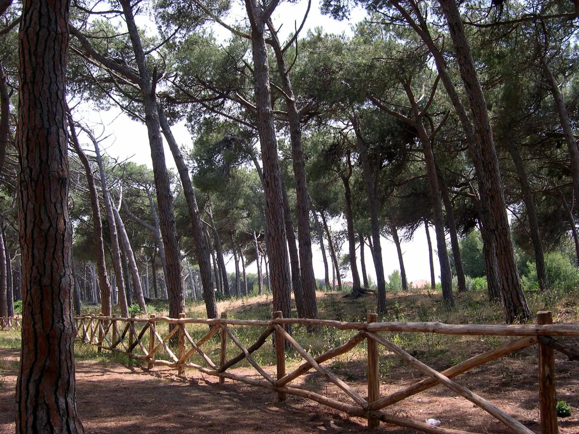 Cycling in Hotel Tornese - Rooftop Sea View