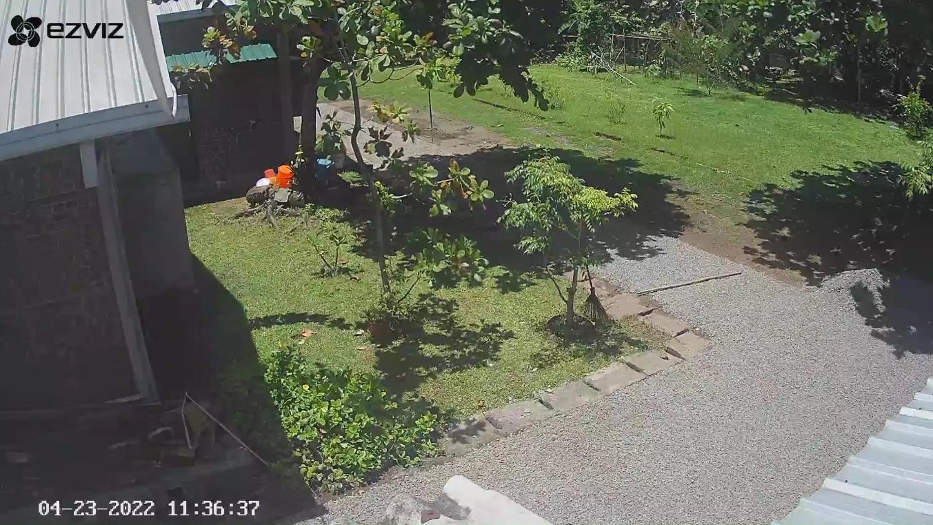 Garden in Tanty’s Hostel