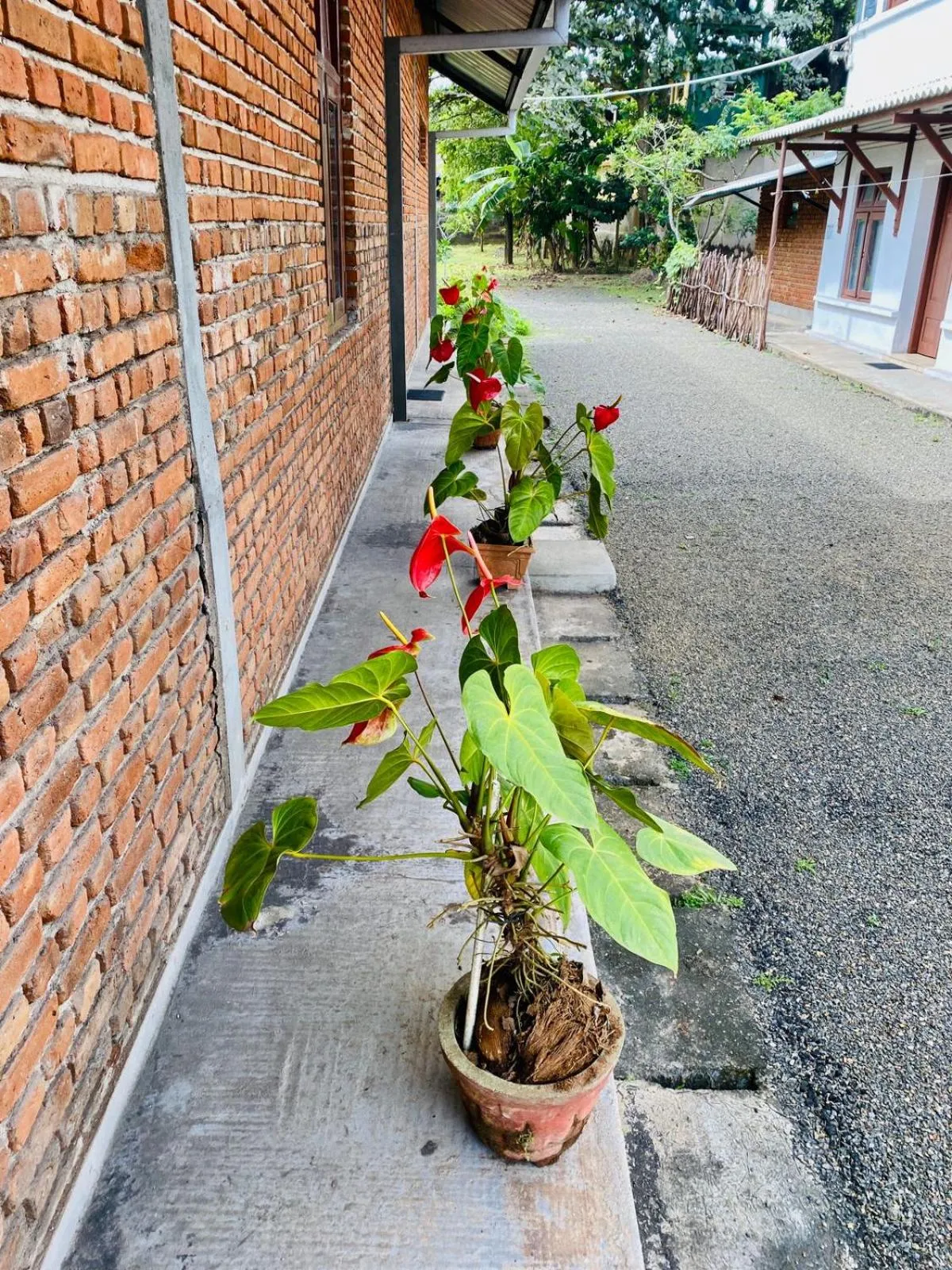 Property building in Tanty’s Hostel