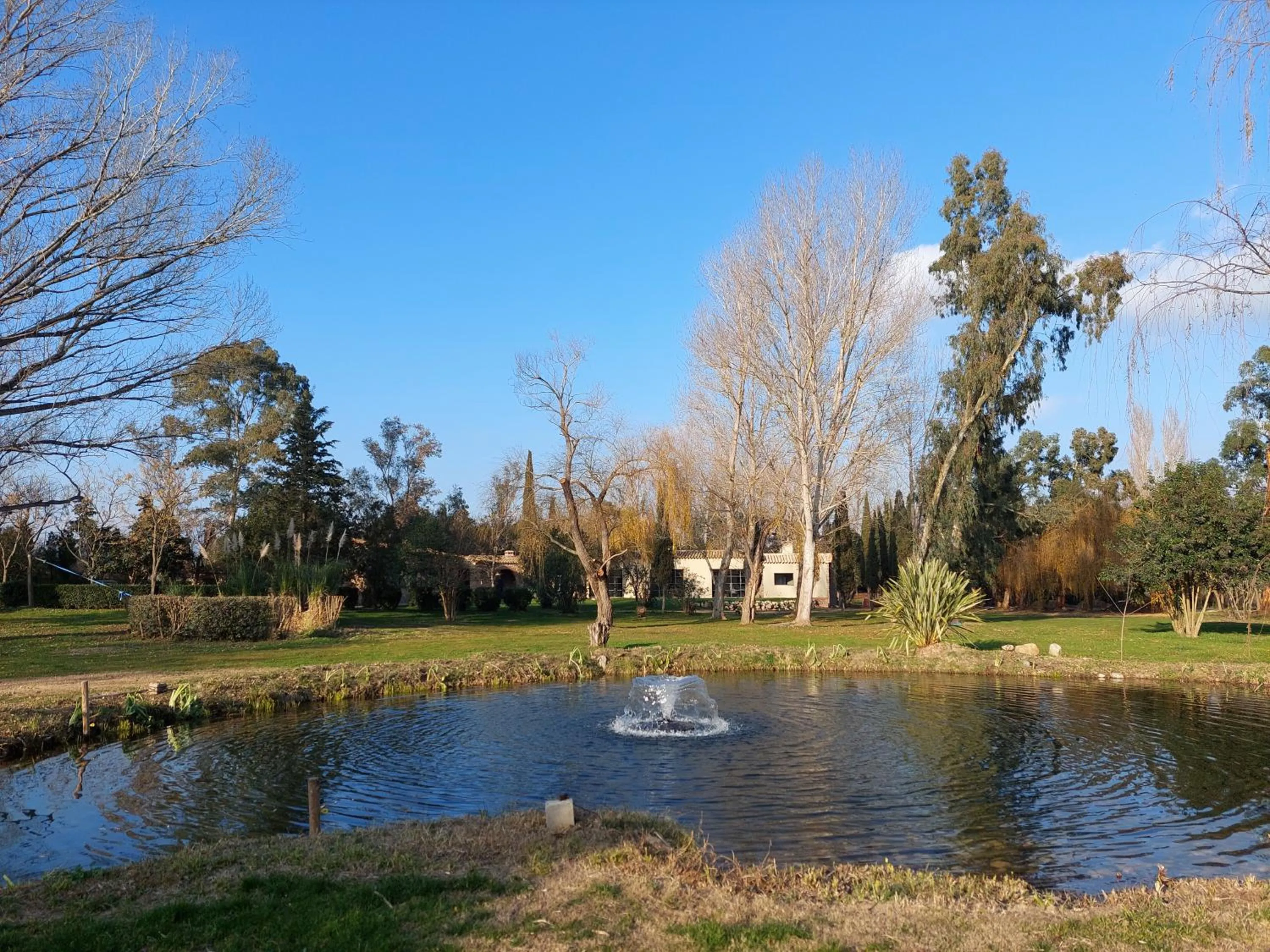 Garden in HOTEL MAS ARET