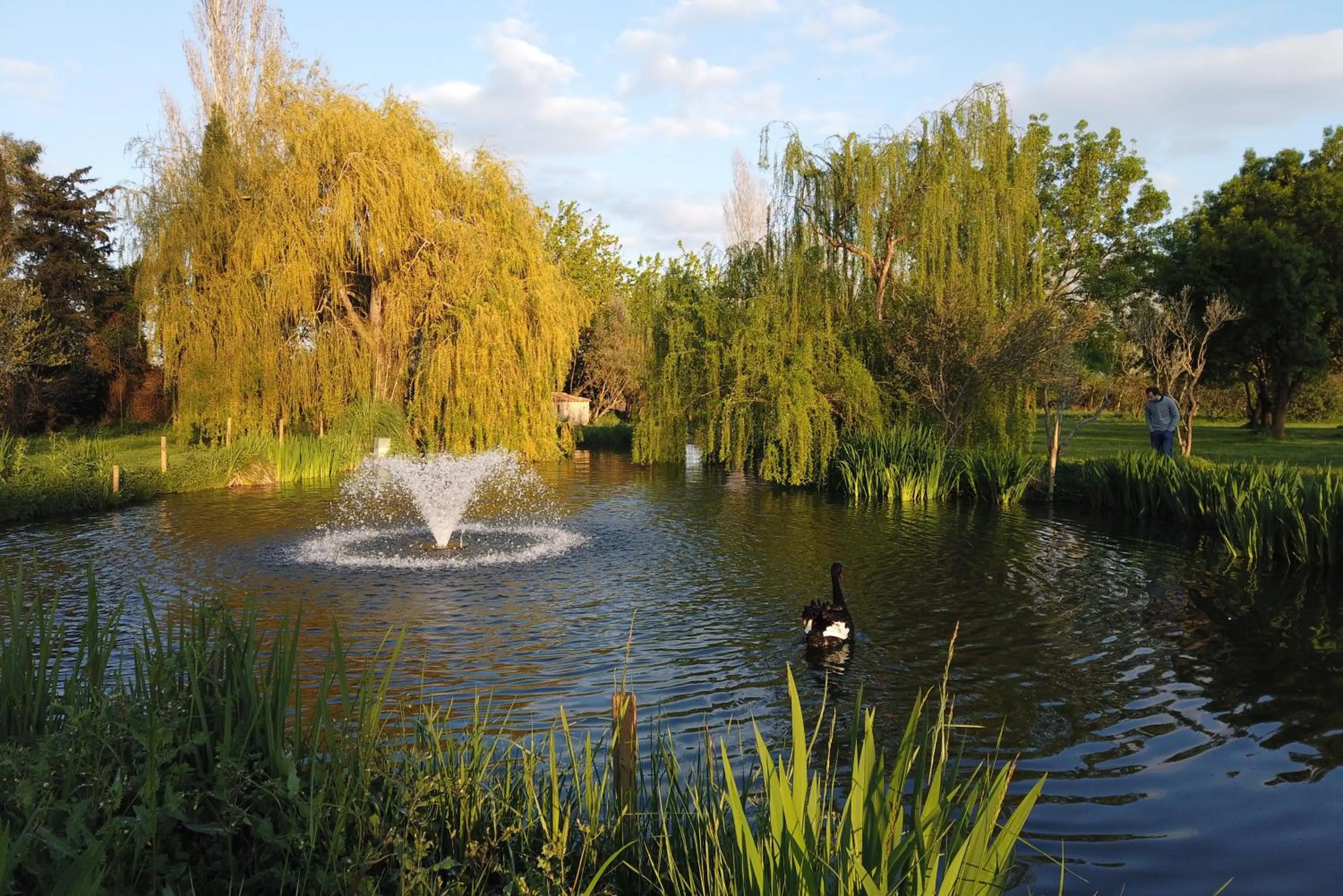 Garden view in HOTEL MAS ARET