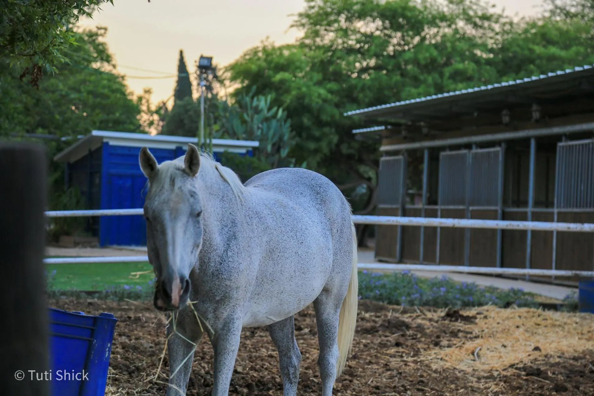 Activities in Mandara - Country Lodging