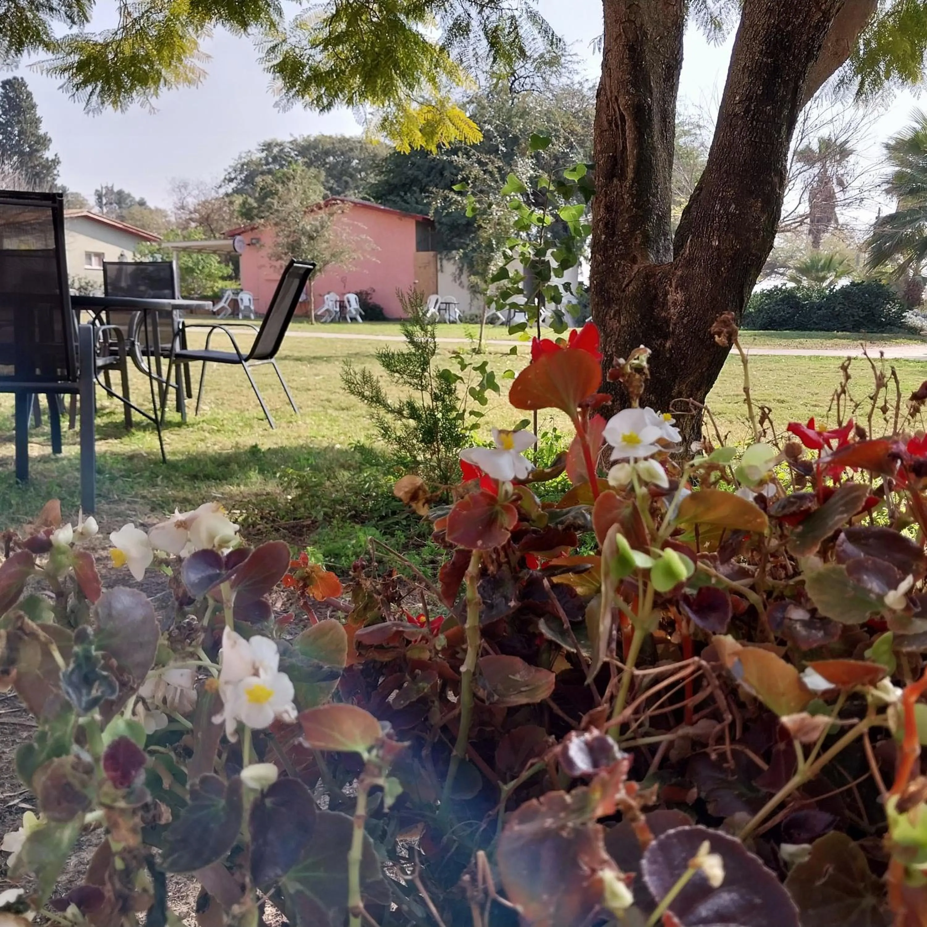 Garden in Mandara - Country Lodging