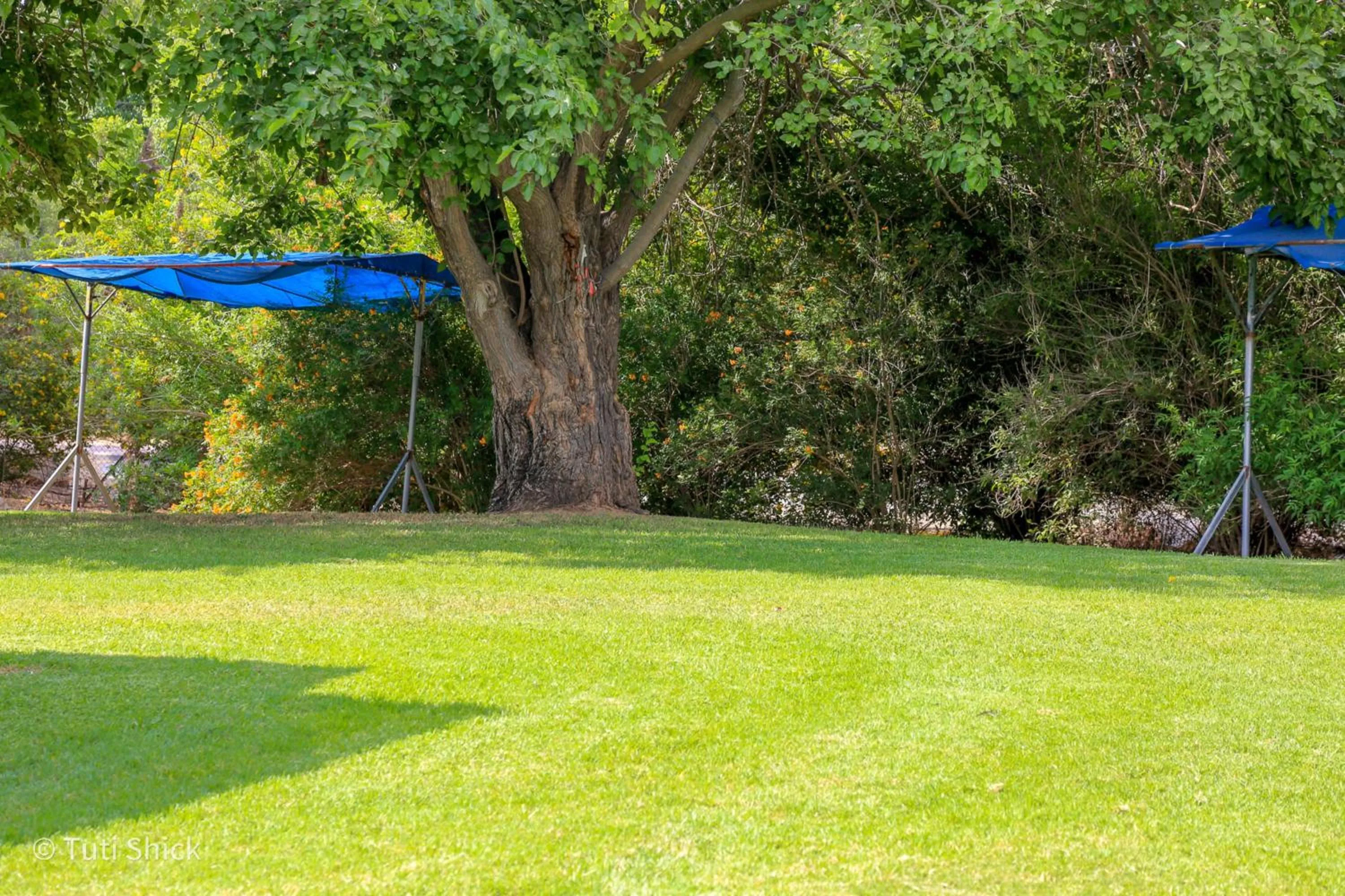 Garden in Mandara - Country Lodging