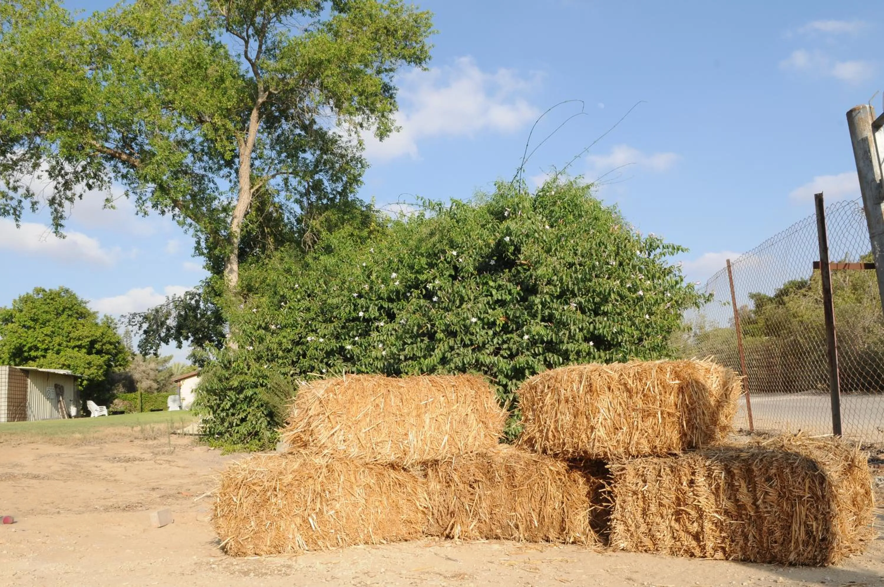 Activities in Mandara - Country Lodging