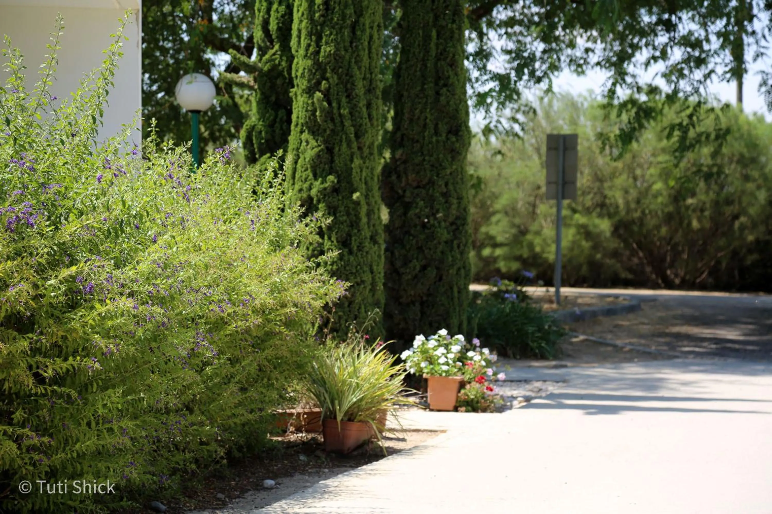 Garden in Mandara - Country Lodging