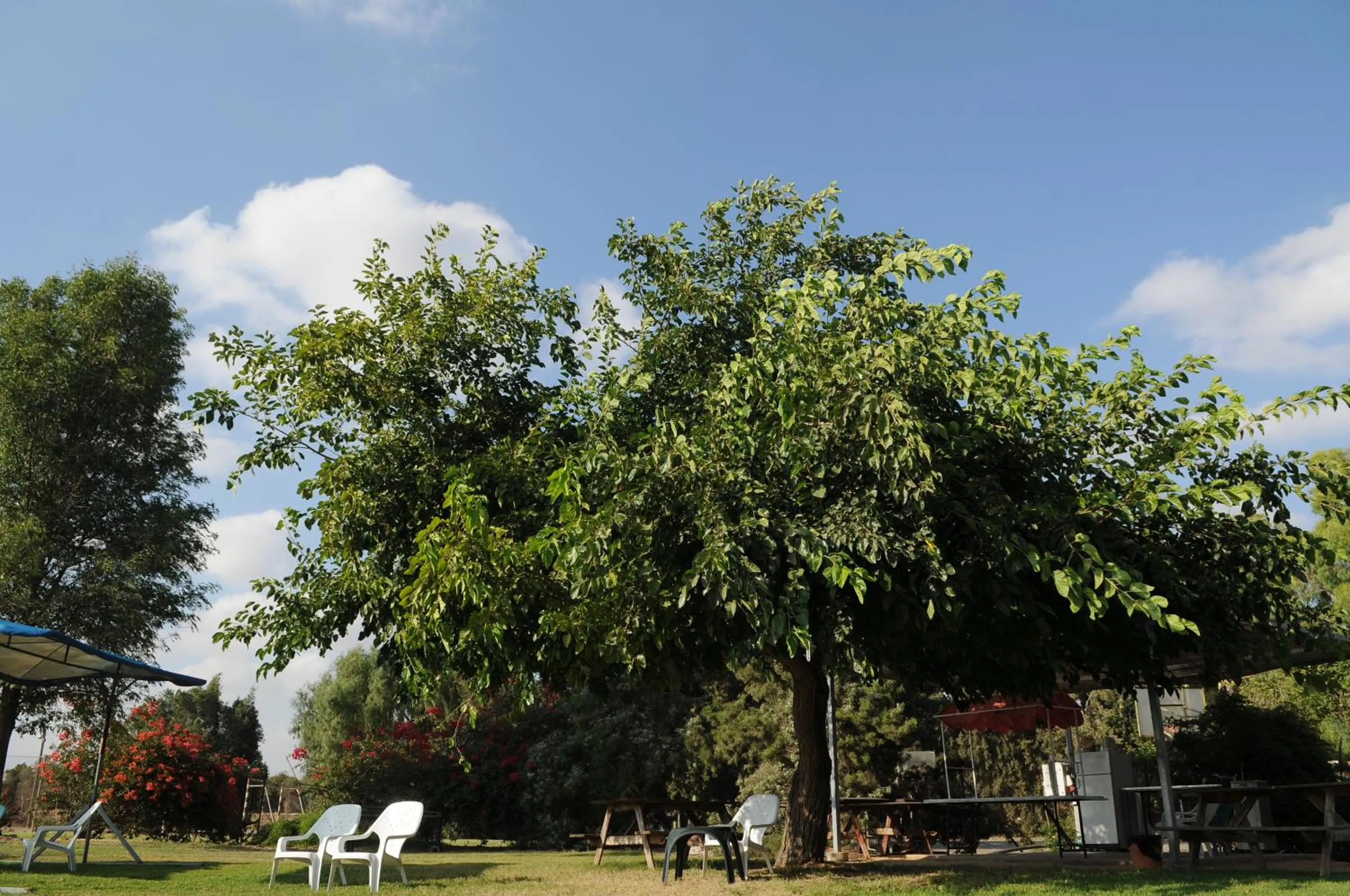 Activities in Mandara - Country Lodging