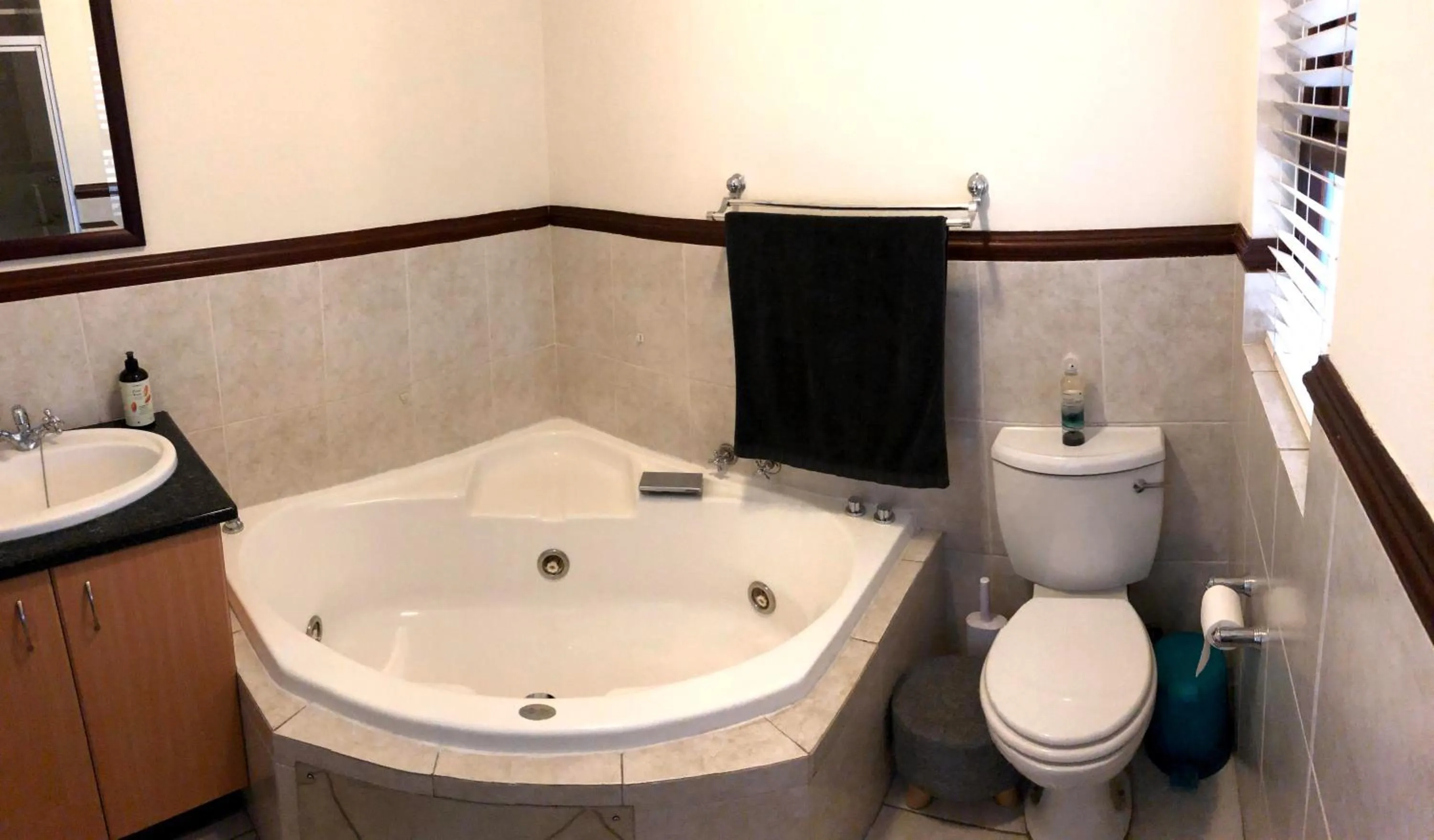 Bathroom in Modern Executive Condo