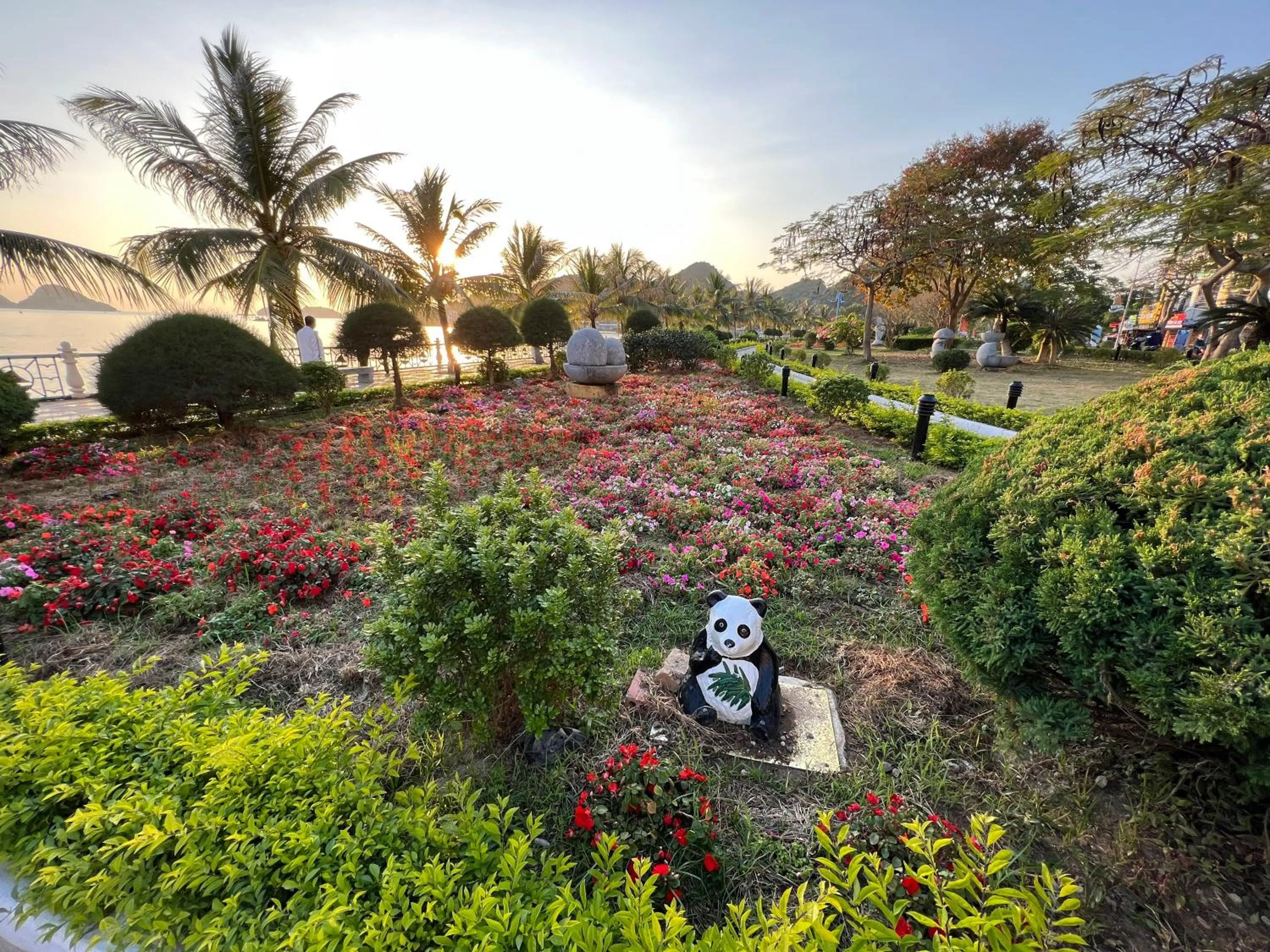 Spring in Huong Cang Sea View Hotel