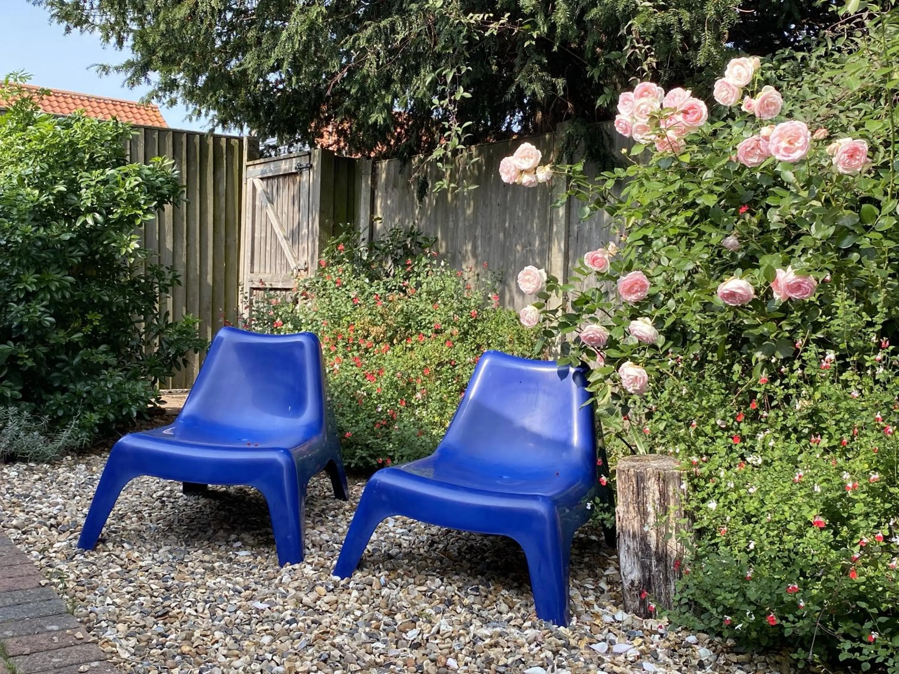 Garden in Green Cottages
