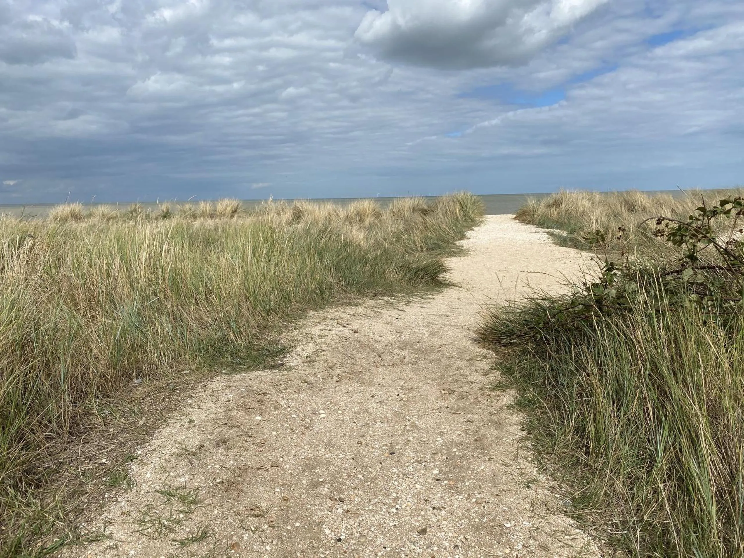 Activities in Green Cottages