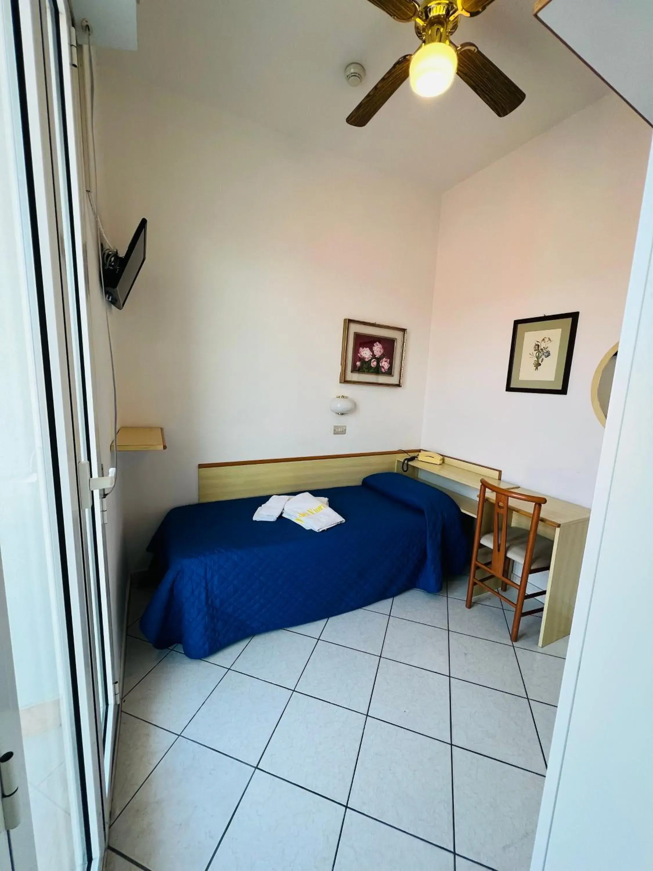Single Room with Pool View in Hotel Villa dei Fiori - sul mare con piscina Single Room with Pool View in Hotel Villa dei Fiori - sul mare con piscina